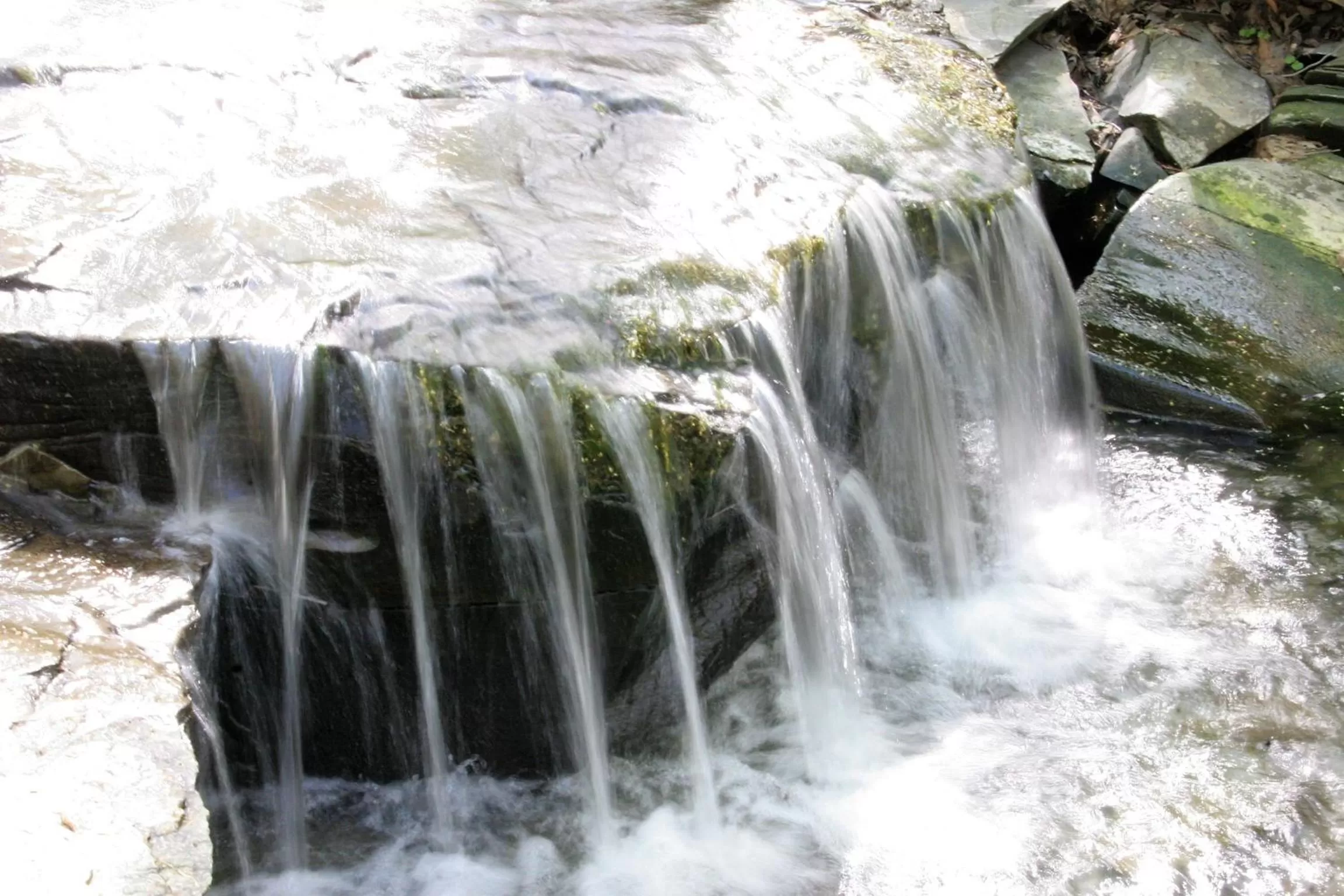 Area and facilities in Lakeside Resort