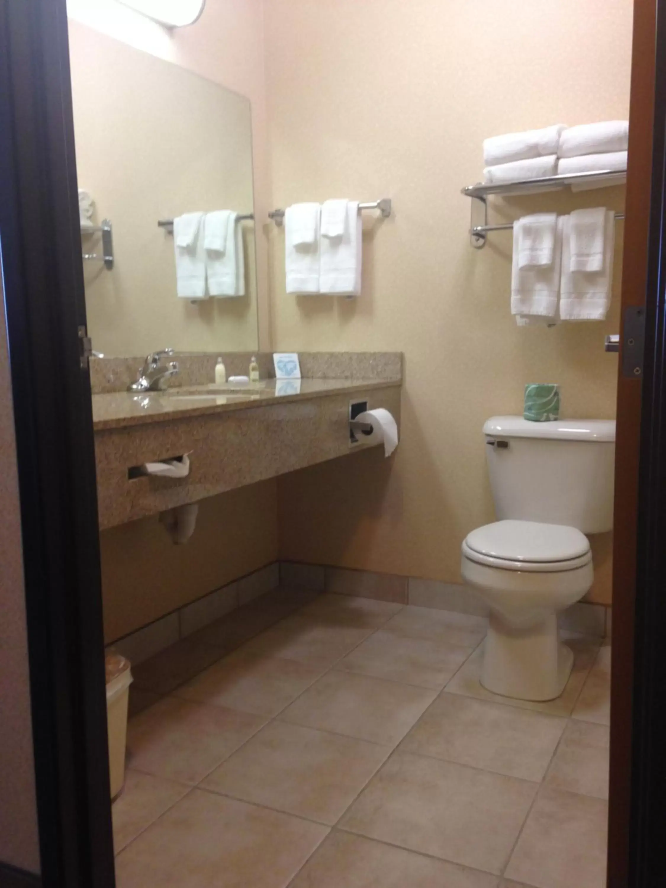 Toilet, Bathroom in Boarders Inn & Suites by Cobblestone Hotels - Shawano