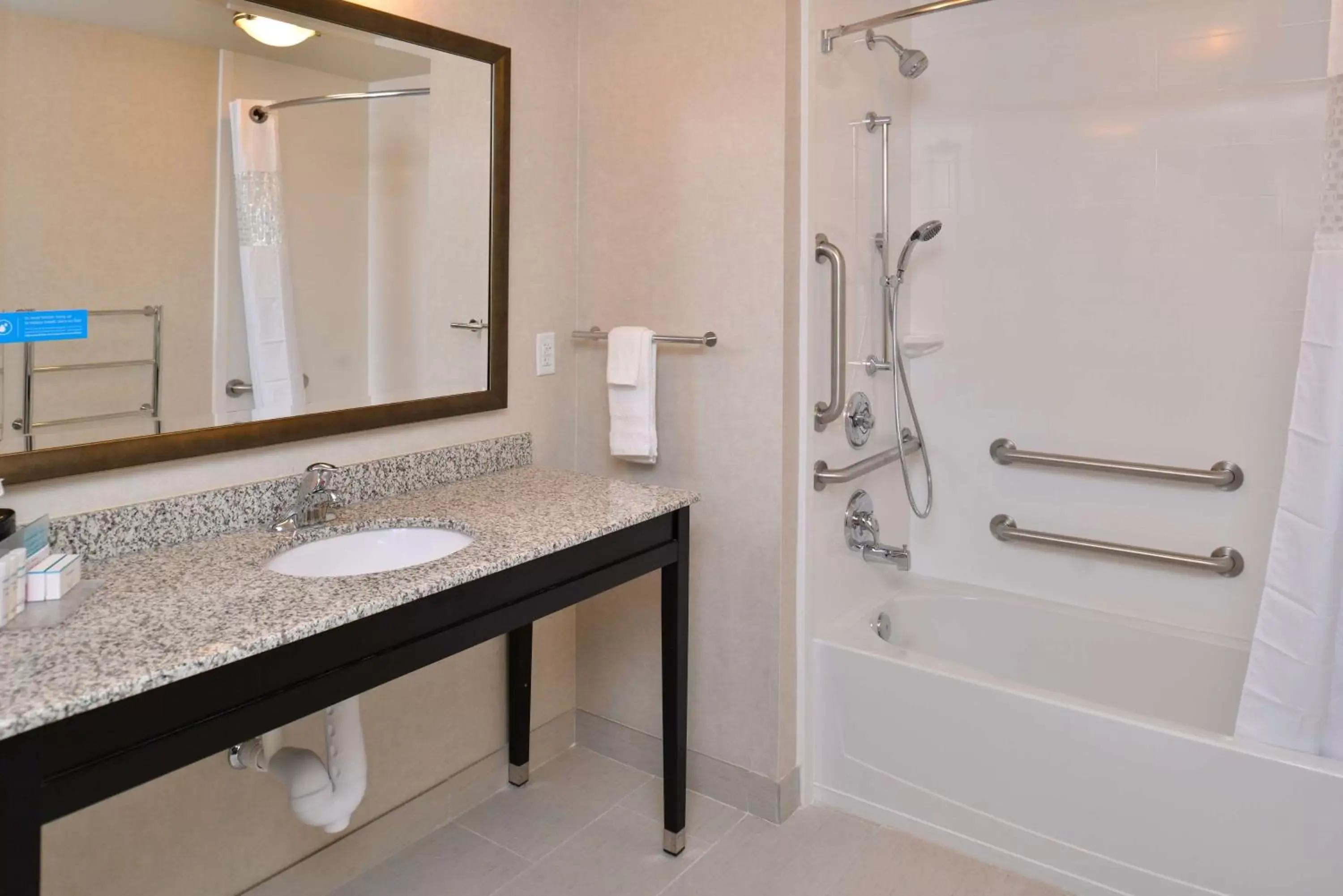 Bathroom in Hampton Inn & Suites Orlando/Downtown South - Medical Center