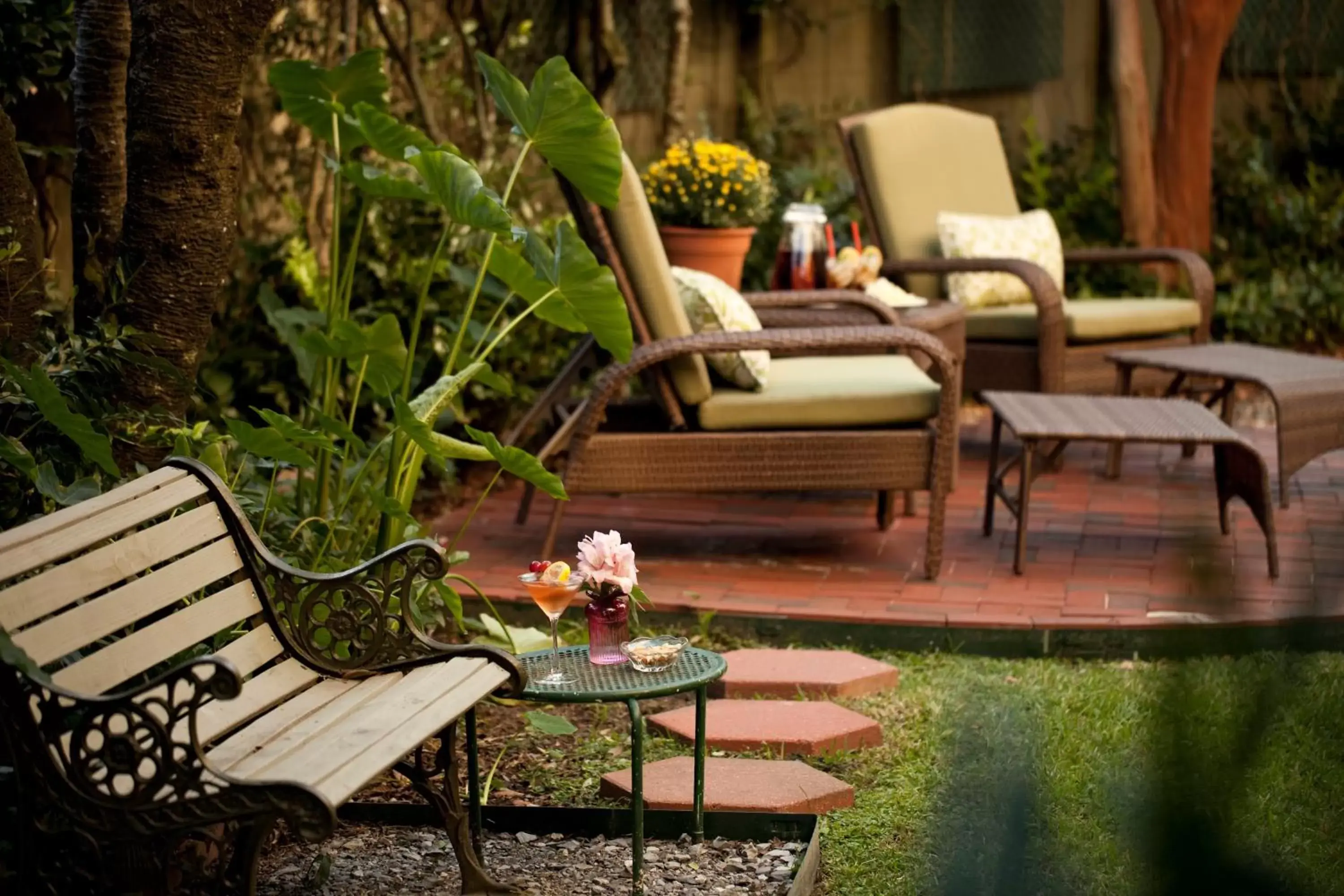 Garden, Seating Area in Devereaux Shields House