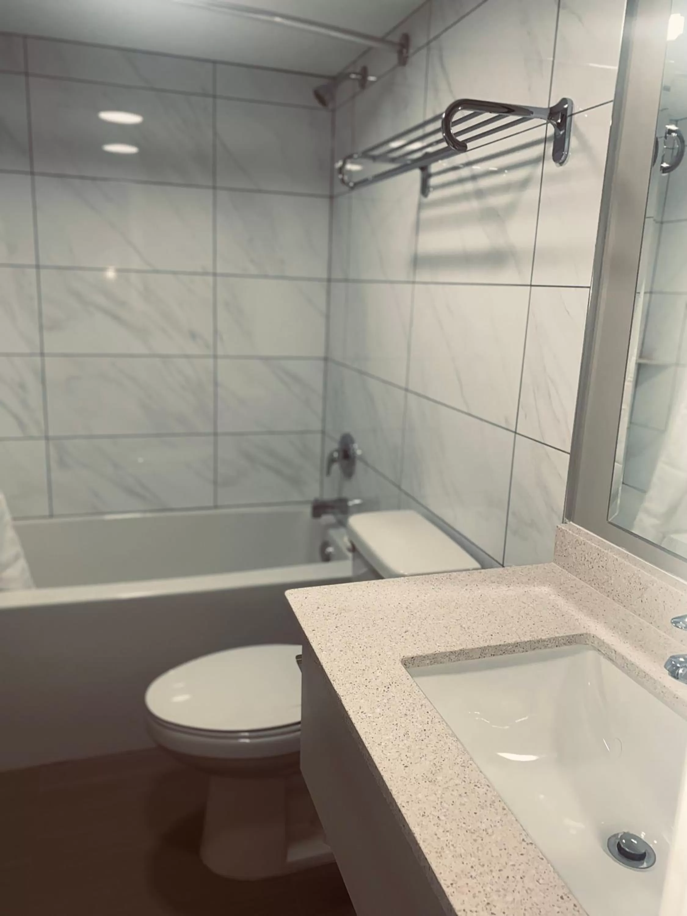 Toilet in Econo Lodge