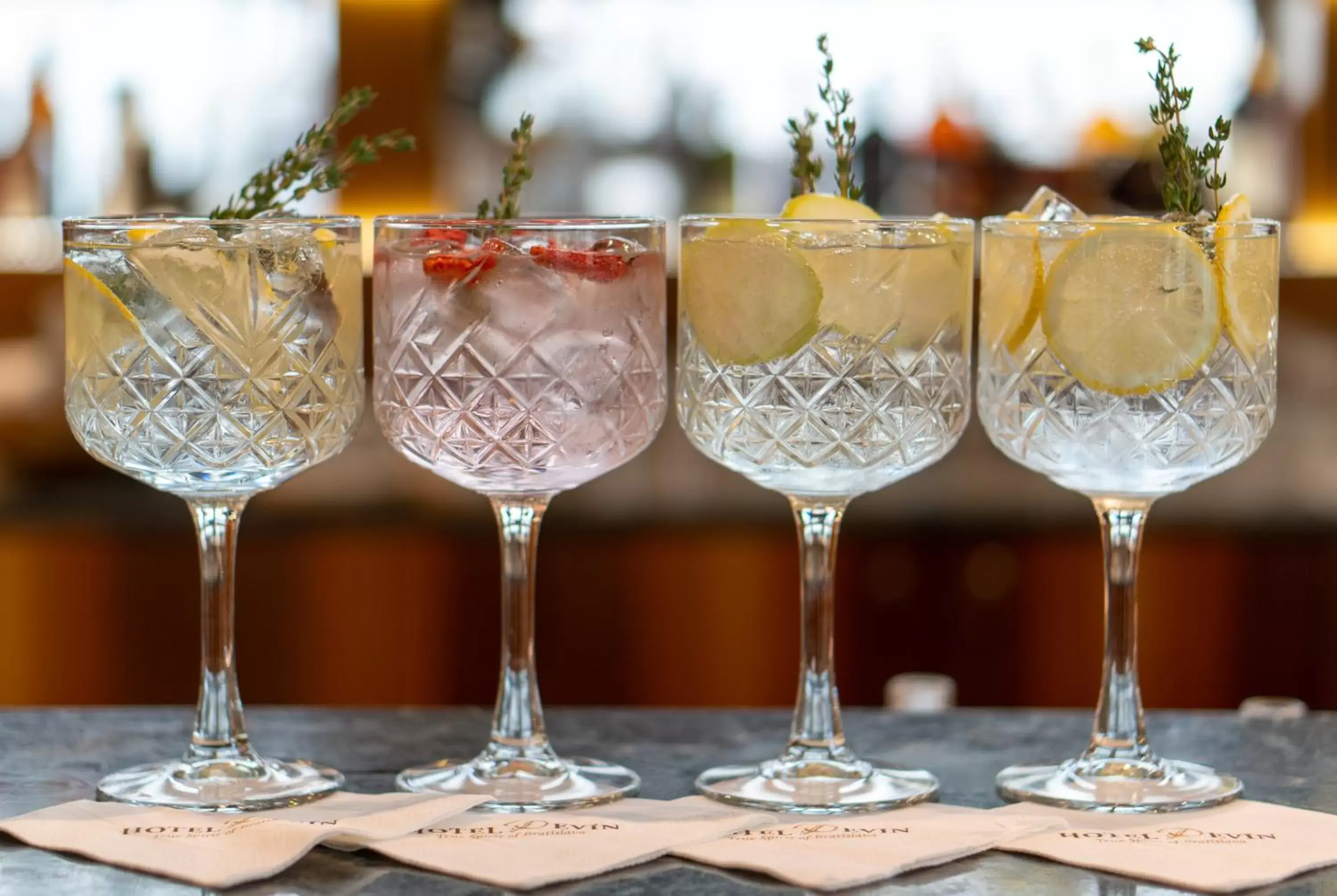 Drinks in Hotel Devín