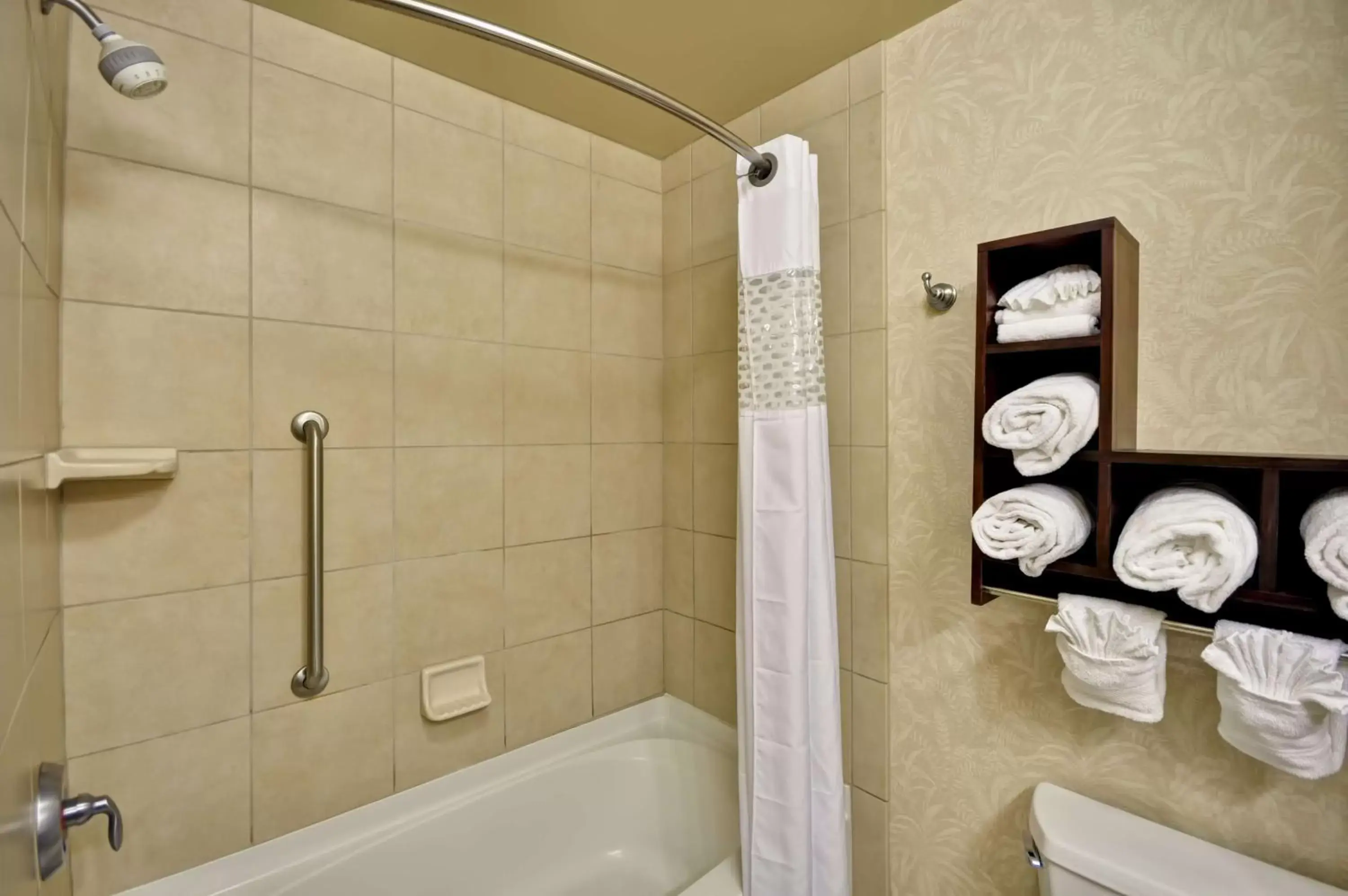 Bathroom in Hampton Inn & Suites North Charleston-University Boulevard