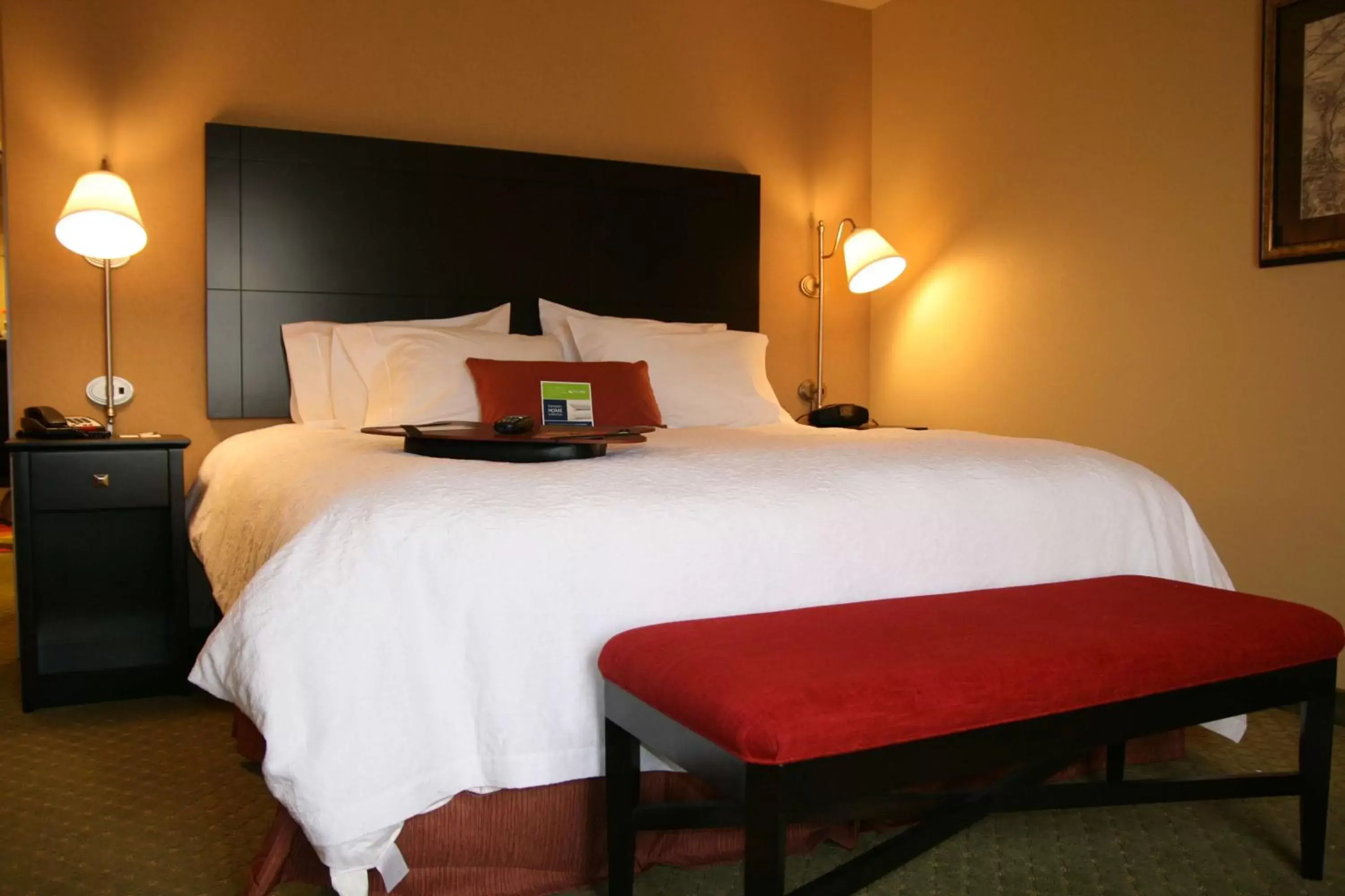 Bed in Hampton Inn By Hilton Jacksonville