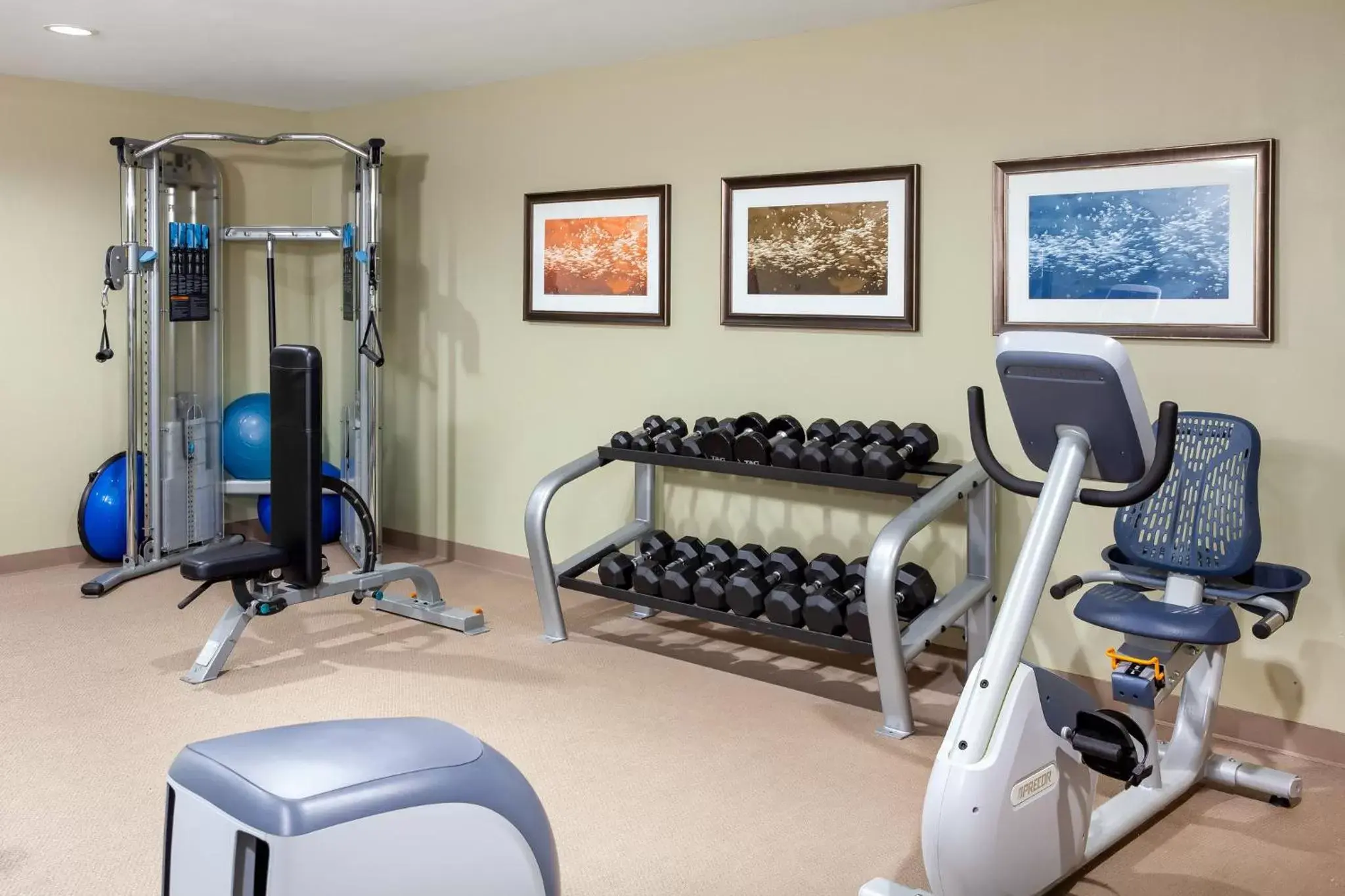 Fitness centre/facilities, Fitness Center/Facilities in Staybridge Suites Denver - Central Park, an IHG Hotel