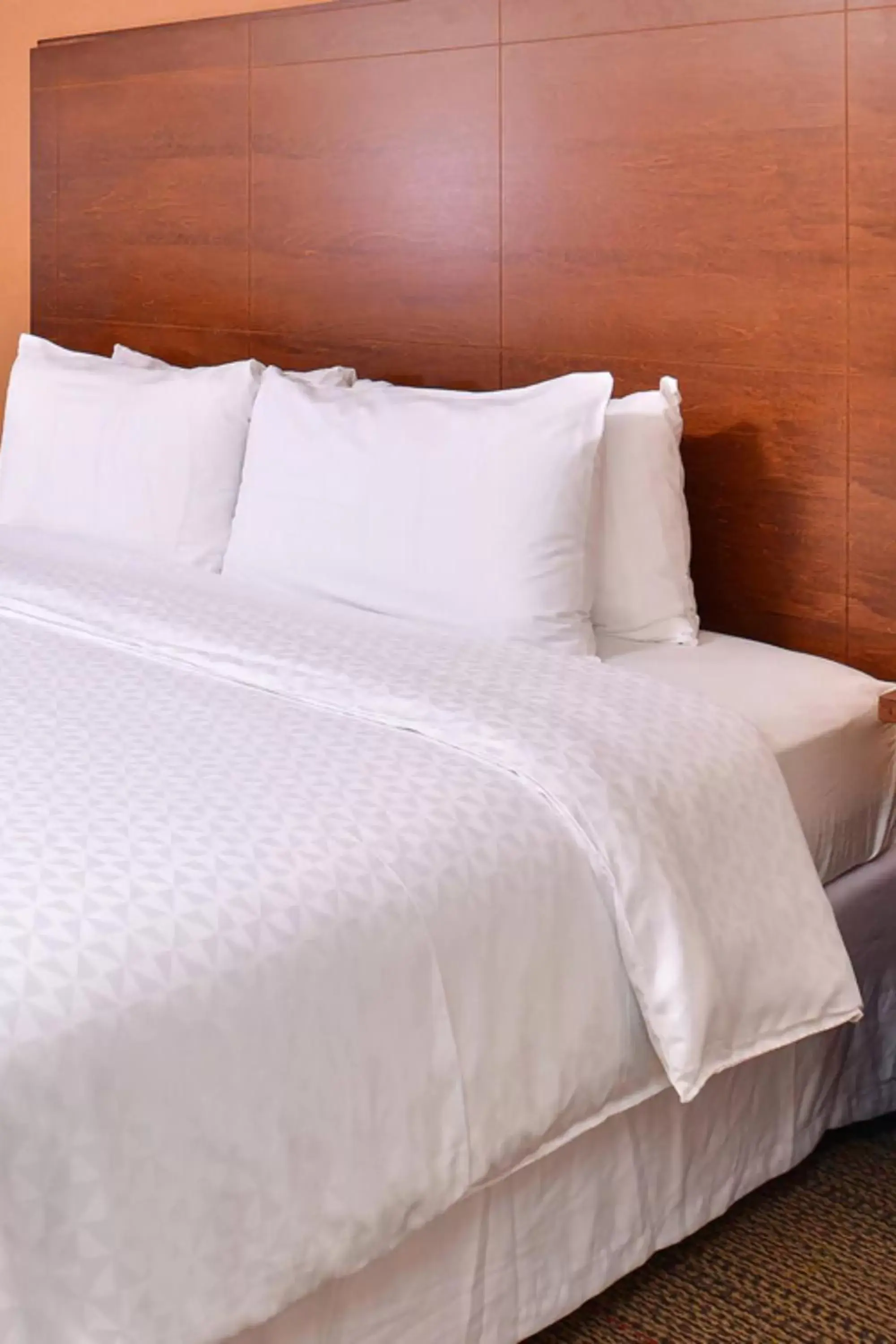 King Suite - Non Smoking in Radisson Hotel Detroit Metro Airport King Suite - Non Smoking in Radisson Hotel Detroit Metro Airport