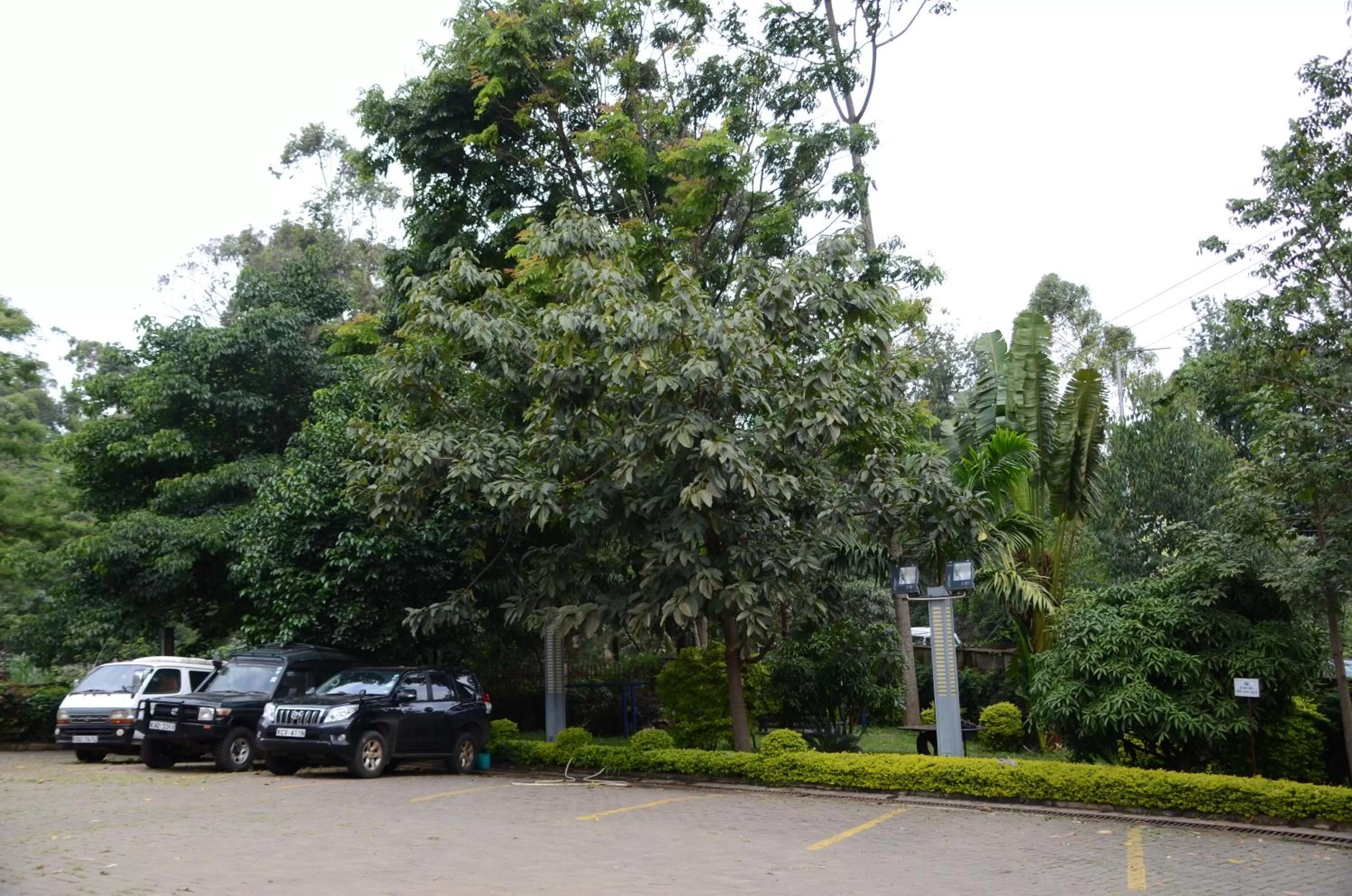 Soluxe Club International Hotel