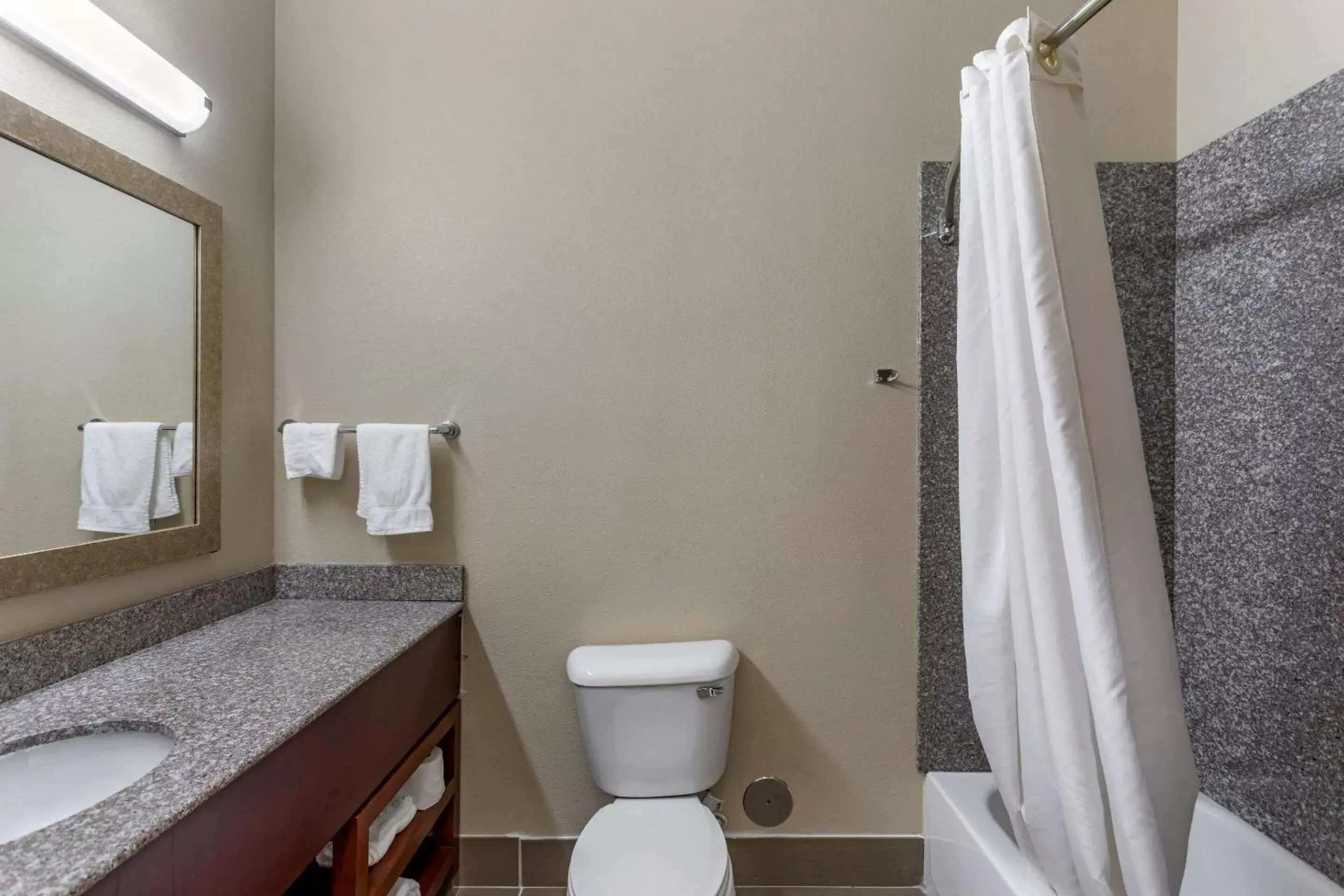 Bathroom in Comfort Inn & Suites Carbondale University Area