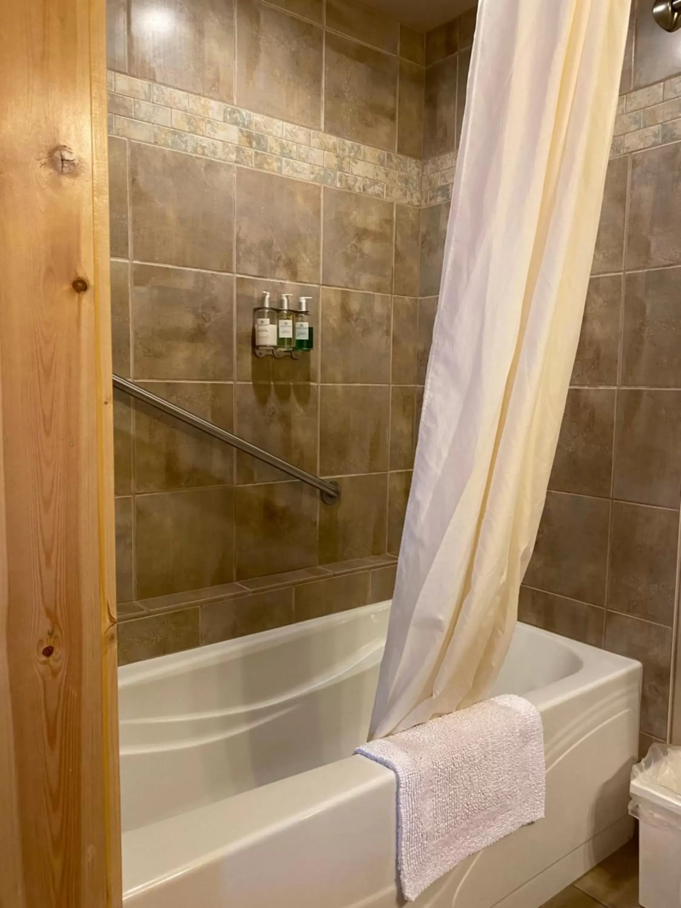 Shower, Bathroom in Twisp River Suites