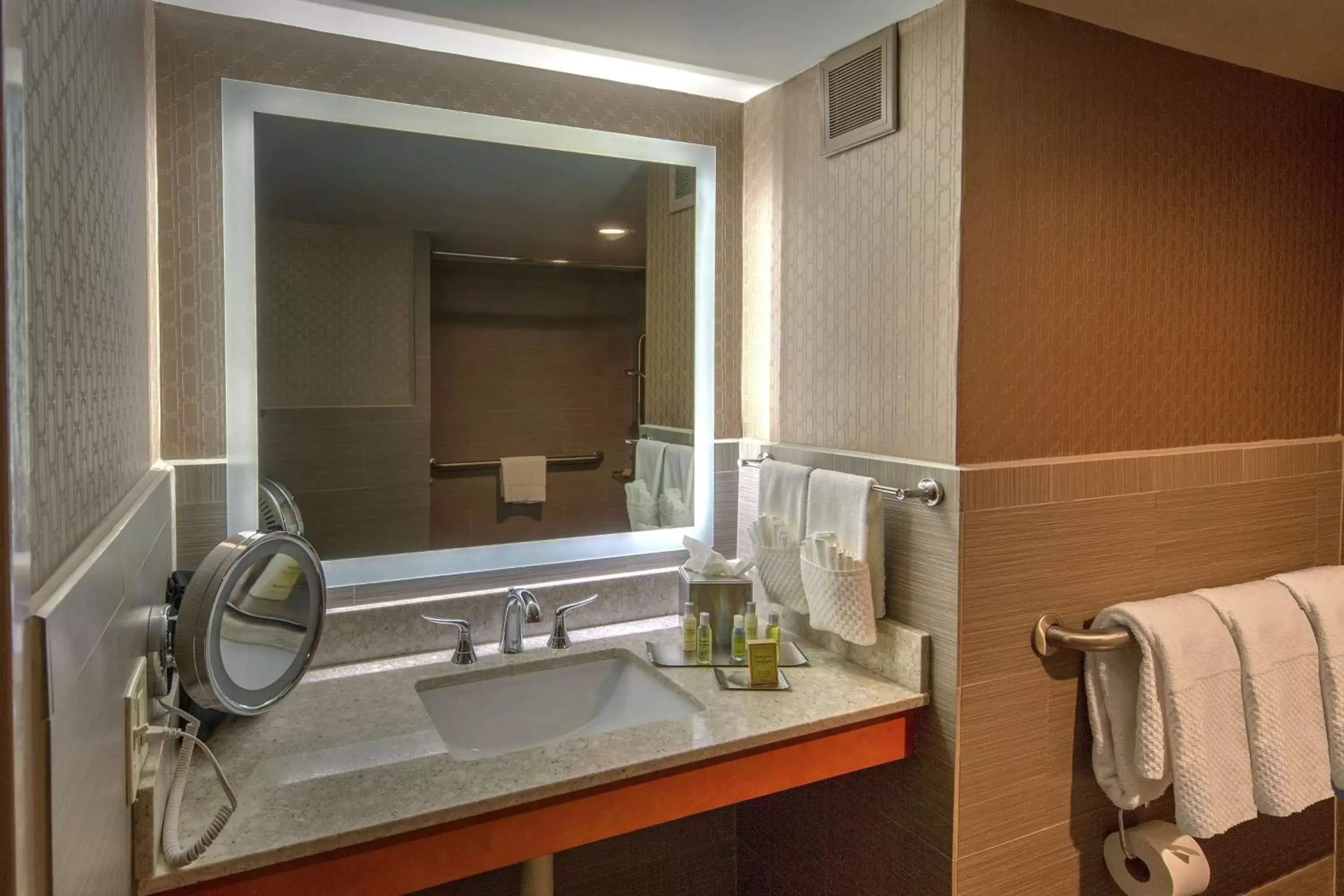 Bathroom in DoubleTree by Hilton Memphis