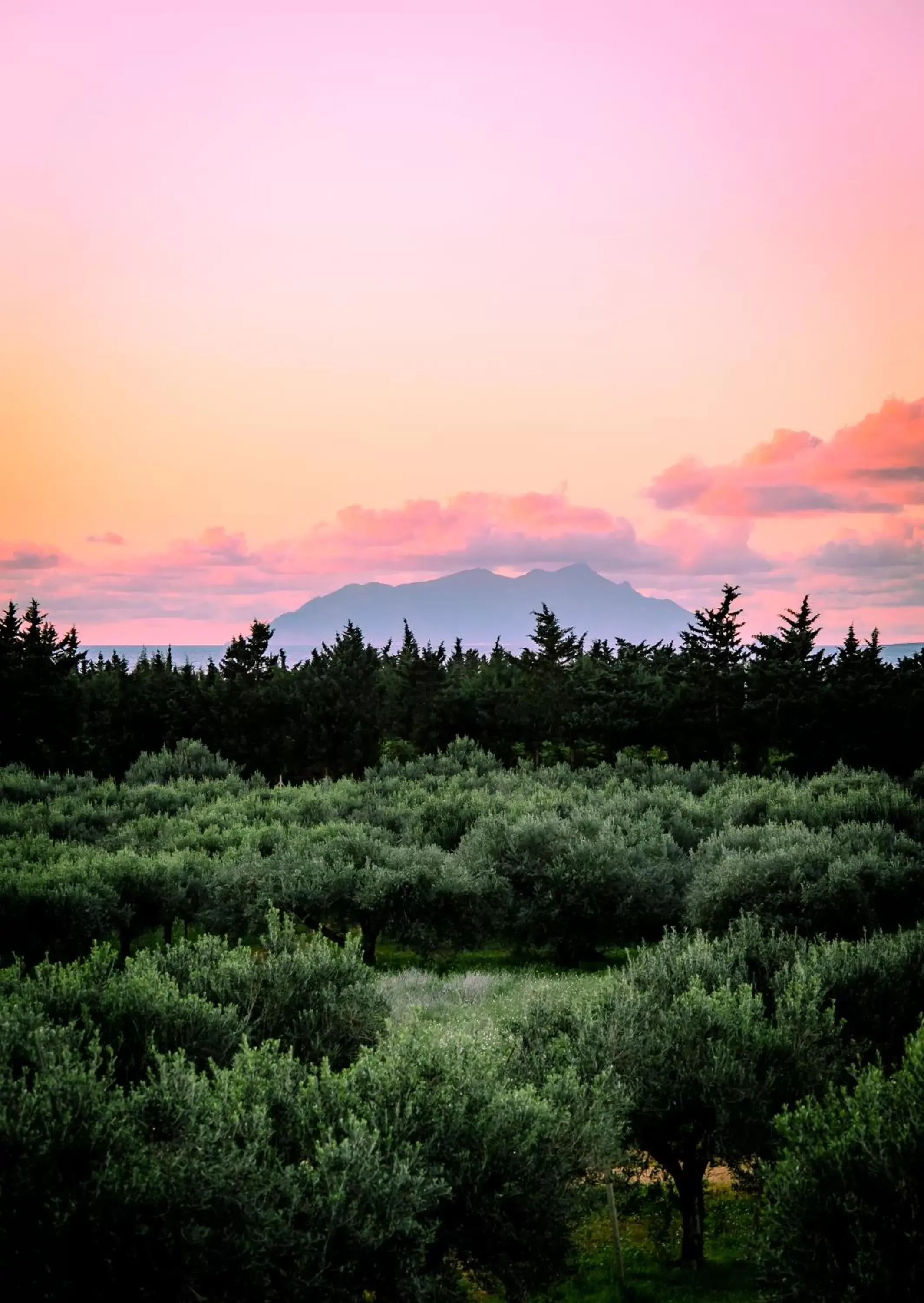 Natural landscape in Baglio Custera