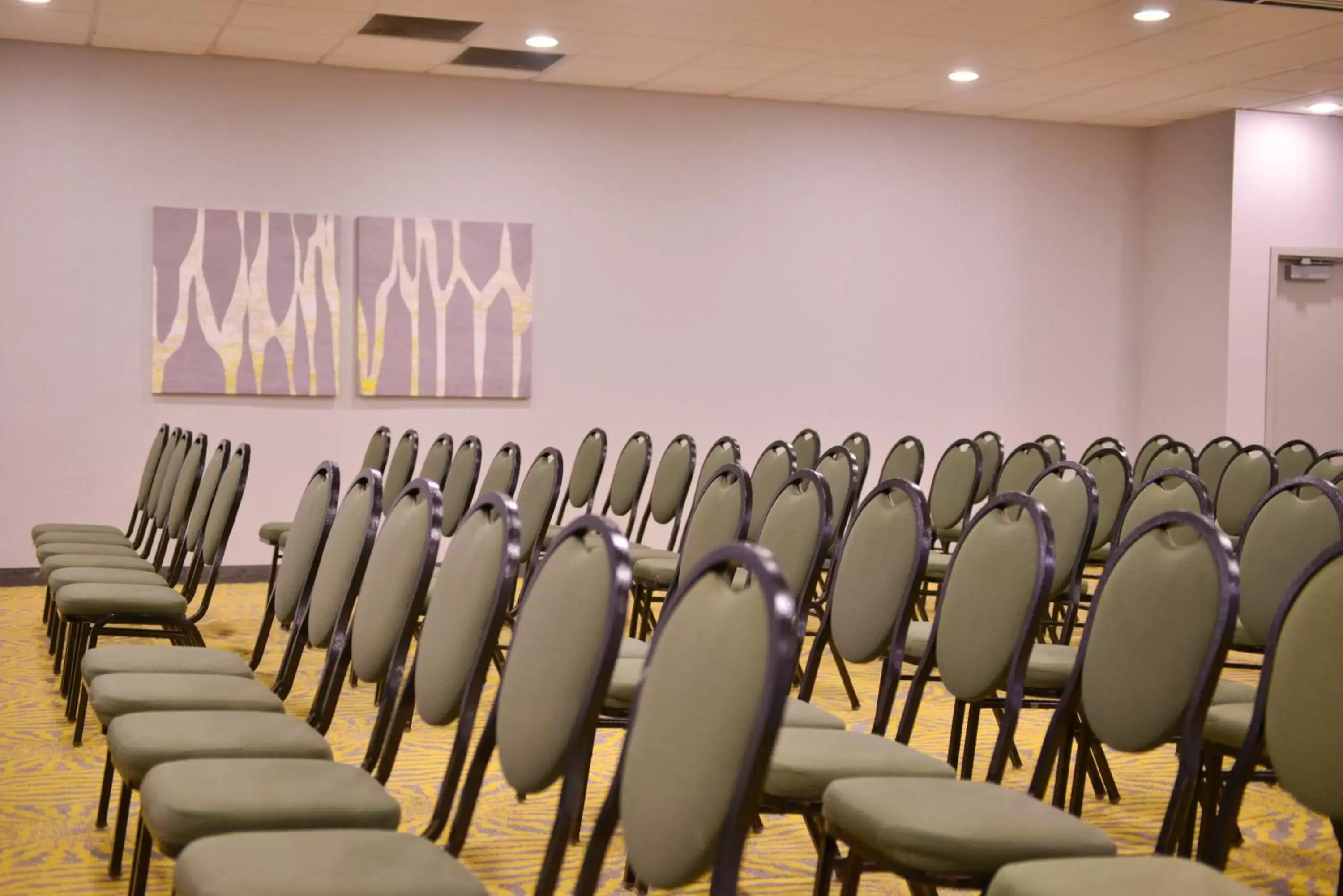 Meeting/conference room in Holiday Inn Richardson, an IHG Hotel