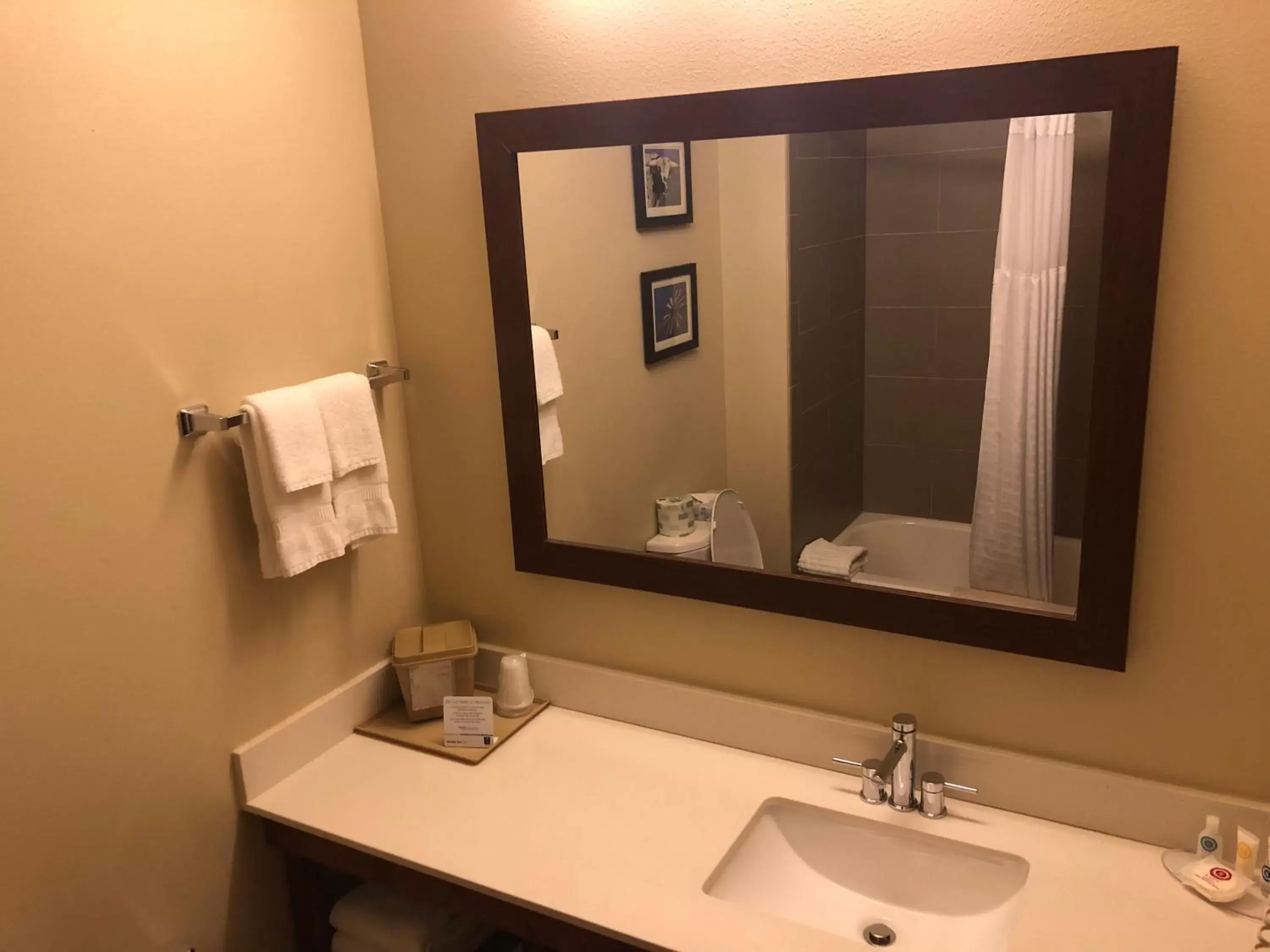 Bathroom in Comfort Inn Early Brownwood