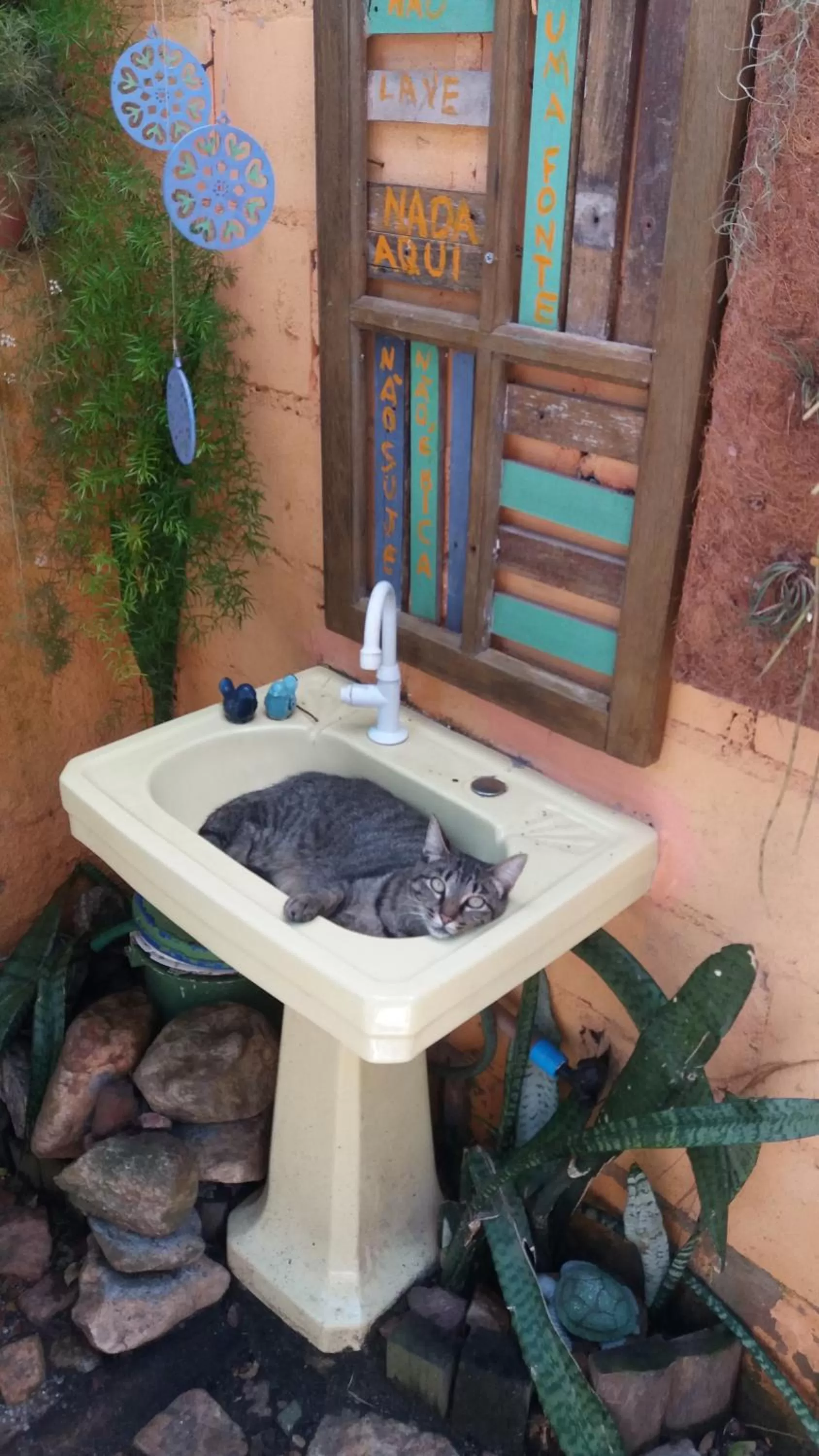 Swimming pool in Pousada Barcarola