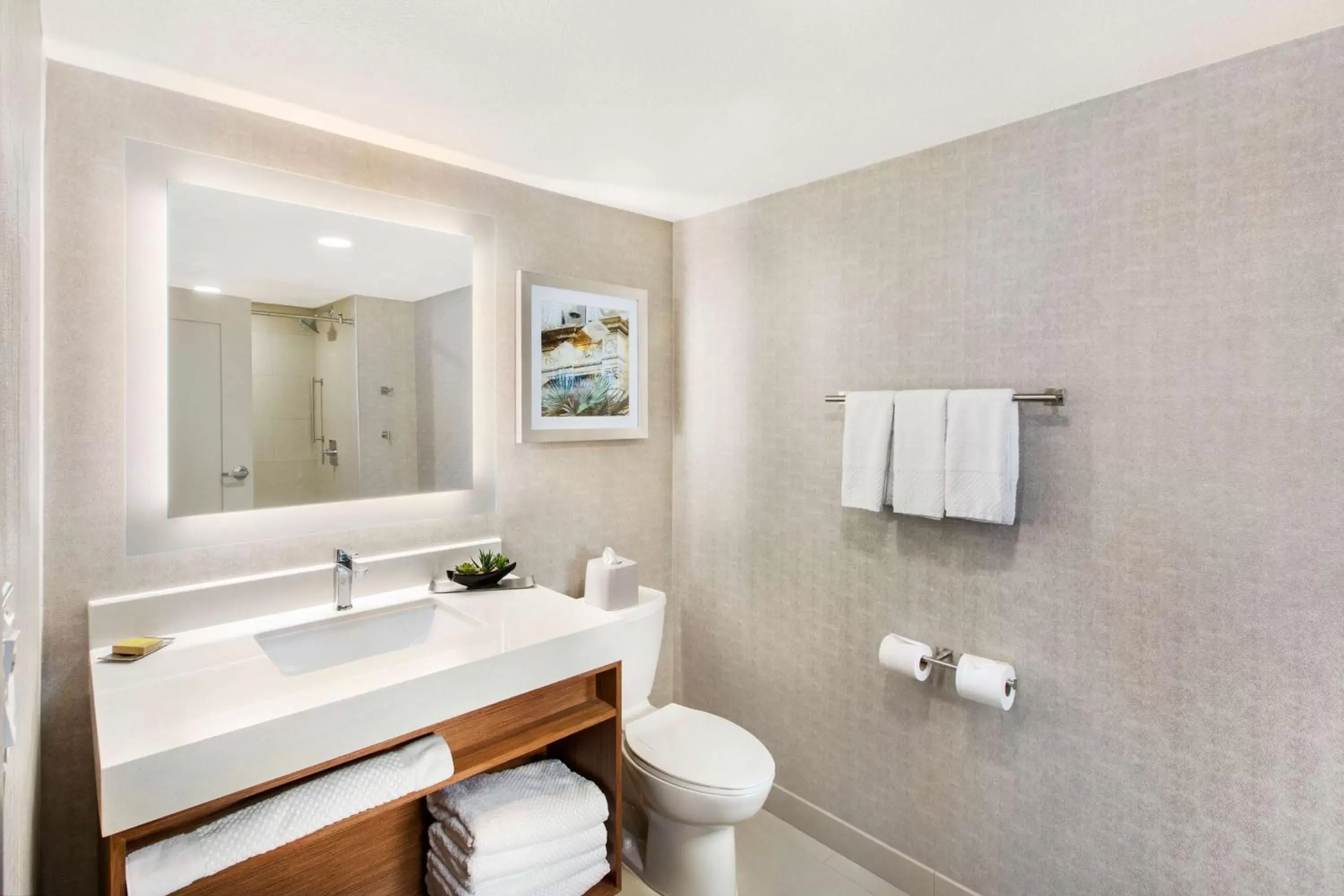 Bathroom in DoubleTree by Hilton San Antonio Northwest - La Cantera