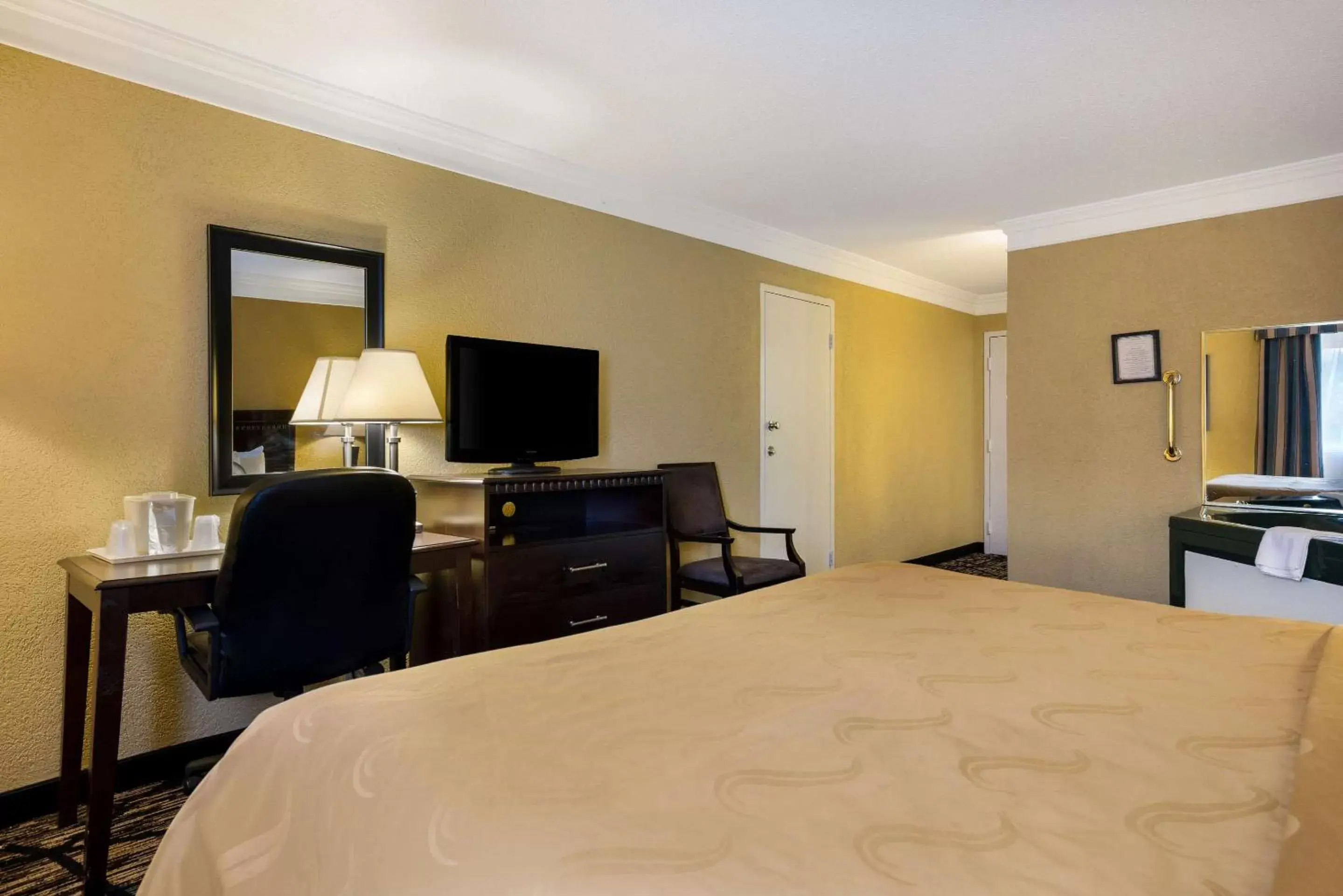 Bedroom, TV/Entertainment Center in Quality Inn and Suites Fairgrounds - Syracuse