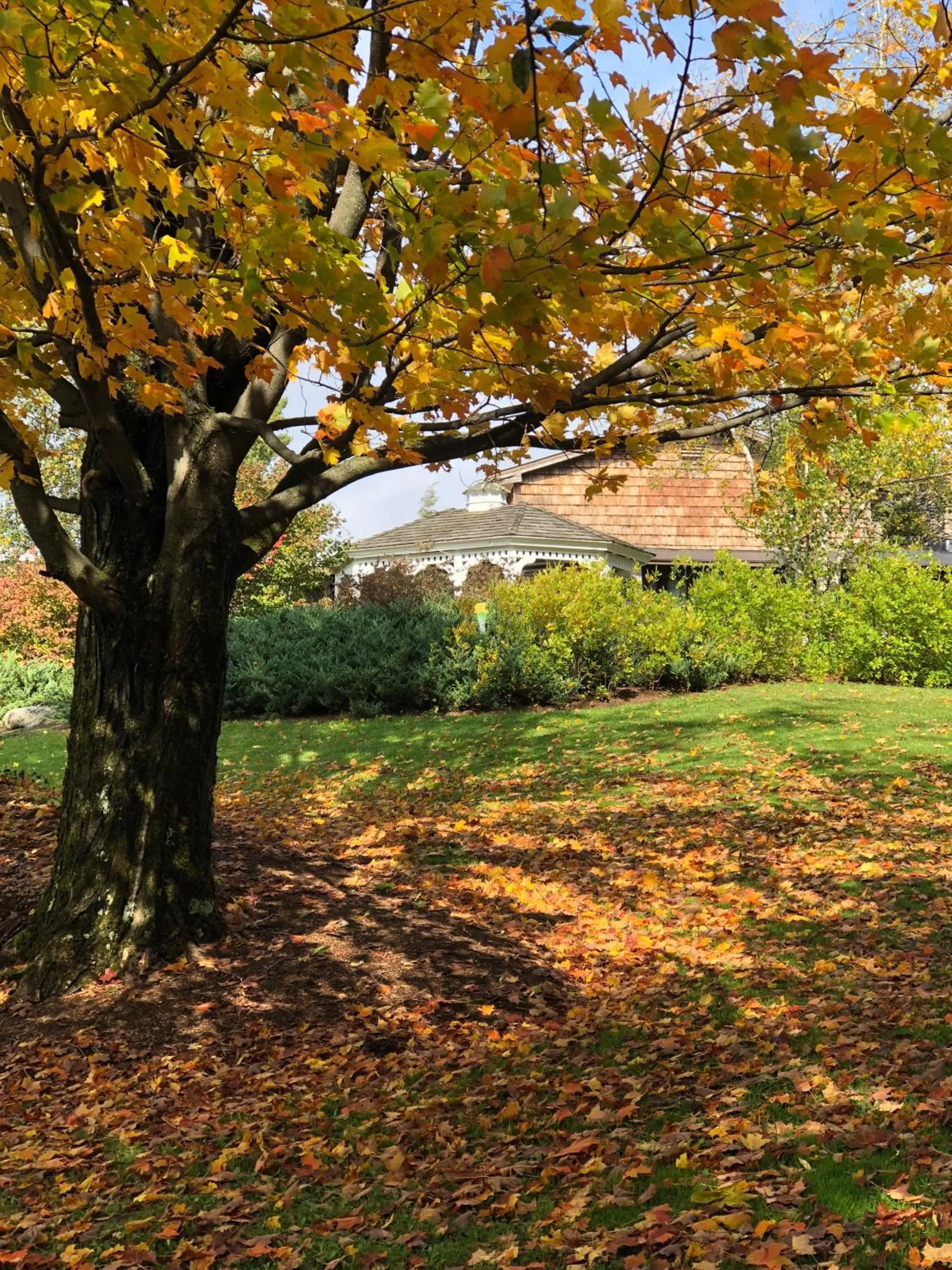Property building in Summit Lodge