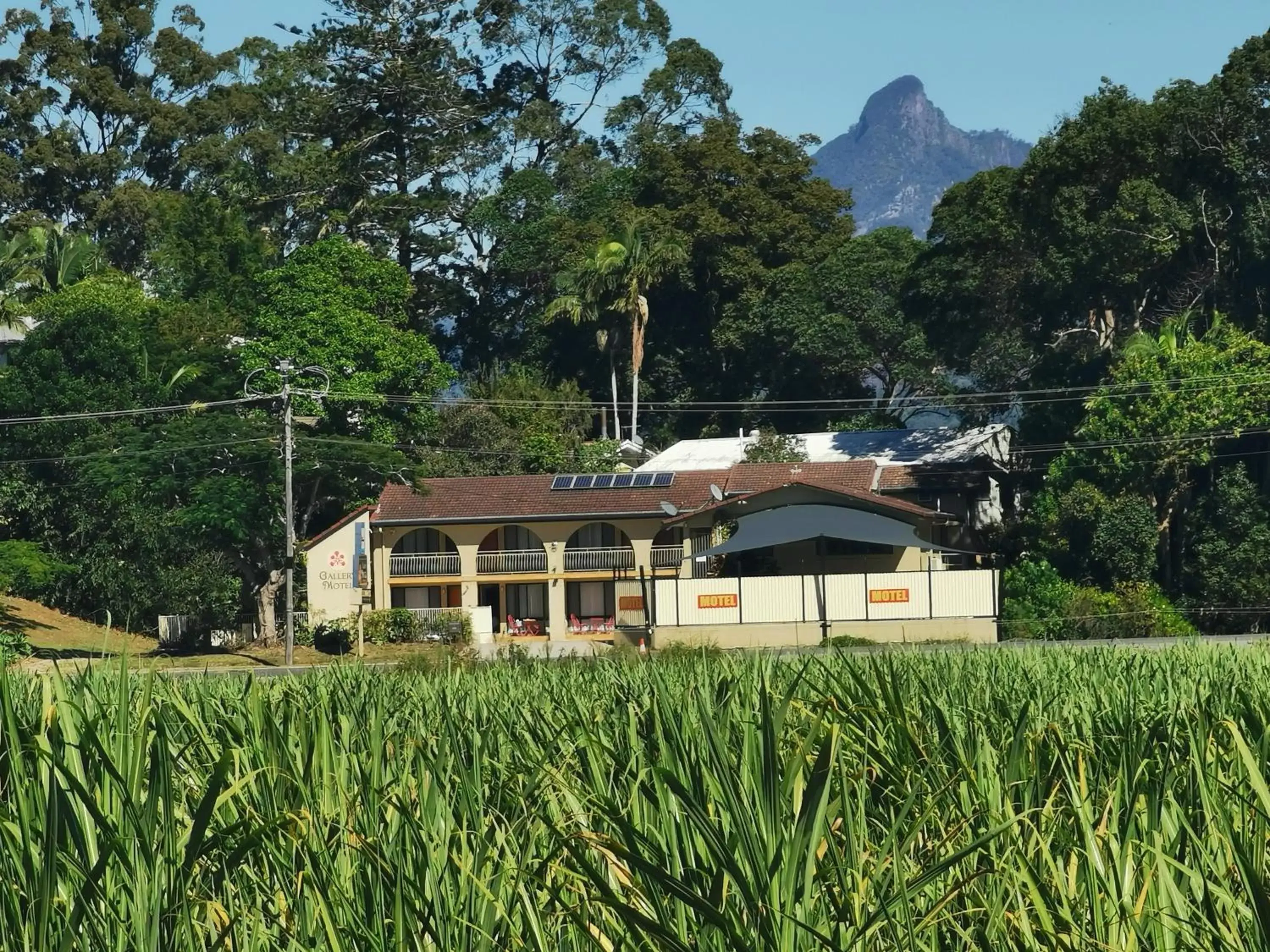 Property Building in Gallery Motel