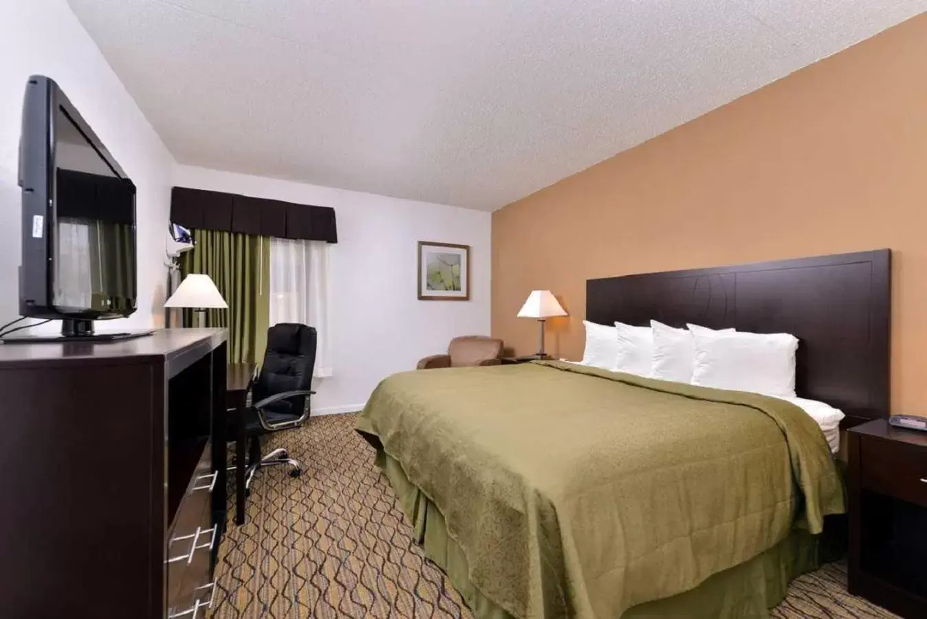 King Room in Quality Inn & Suites Matteson near I-57