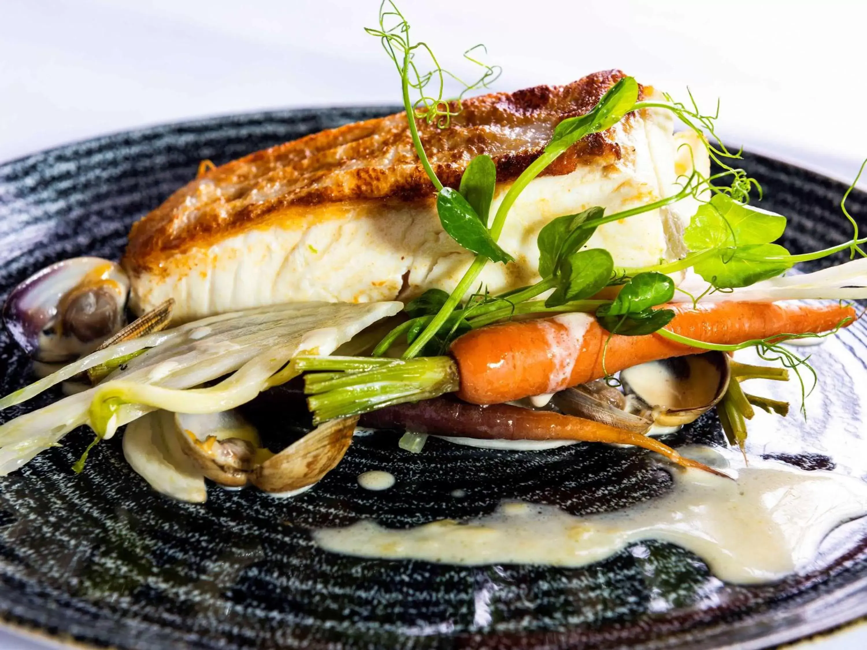 Restaurant/places to eat, Food in Brandon Hall Hotel & Spa Warwickshire