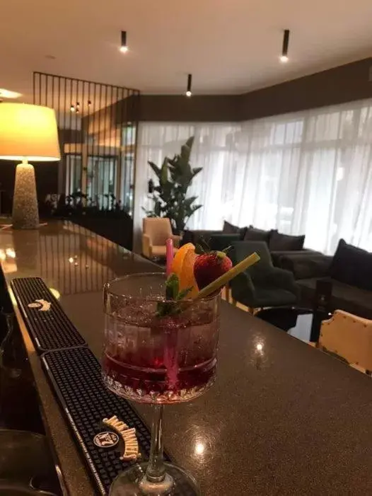 Lounge or bar in Hotel Carpathia