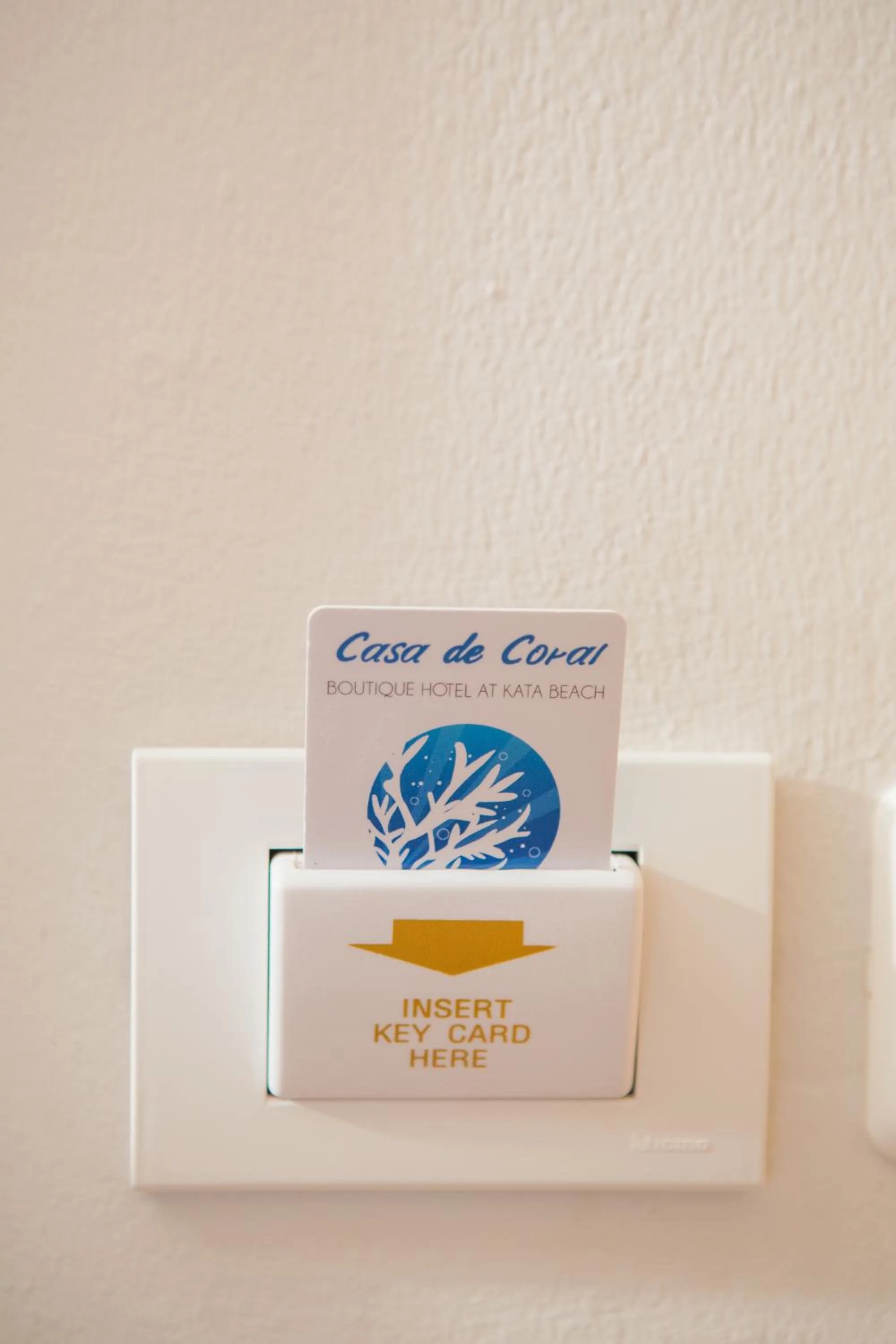 Photo of the whole room in Casa de Coral Boutique Hotel