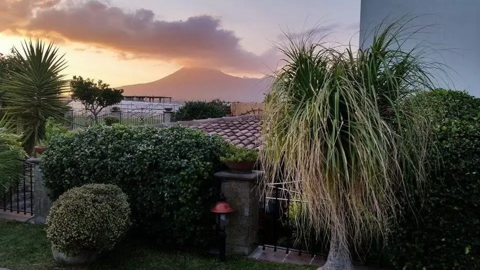 Garden in B&B Villa Lura Pompei