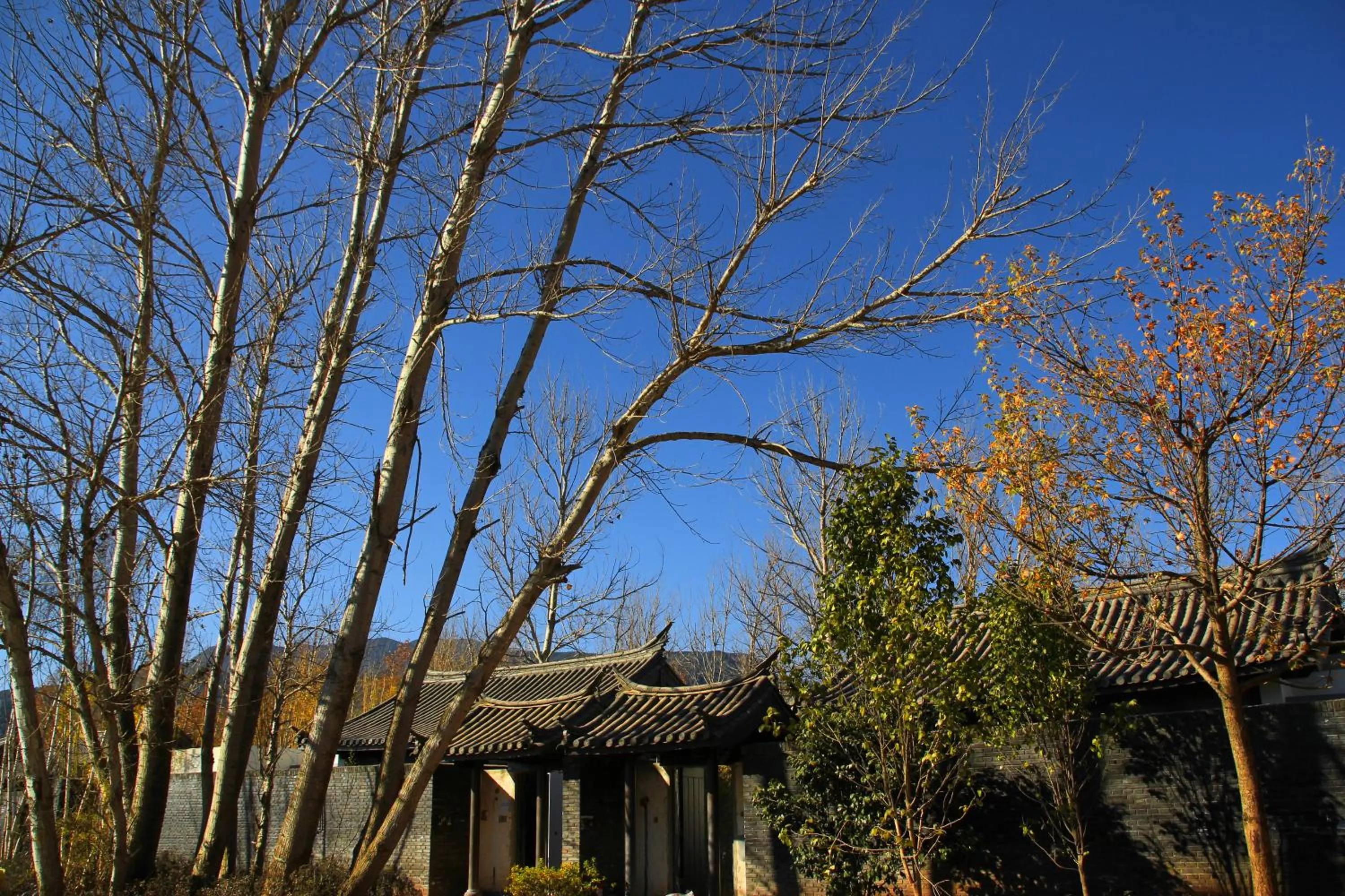 Other in Pullman Lijiang Resort & Spa