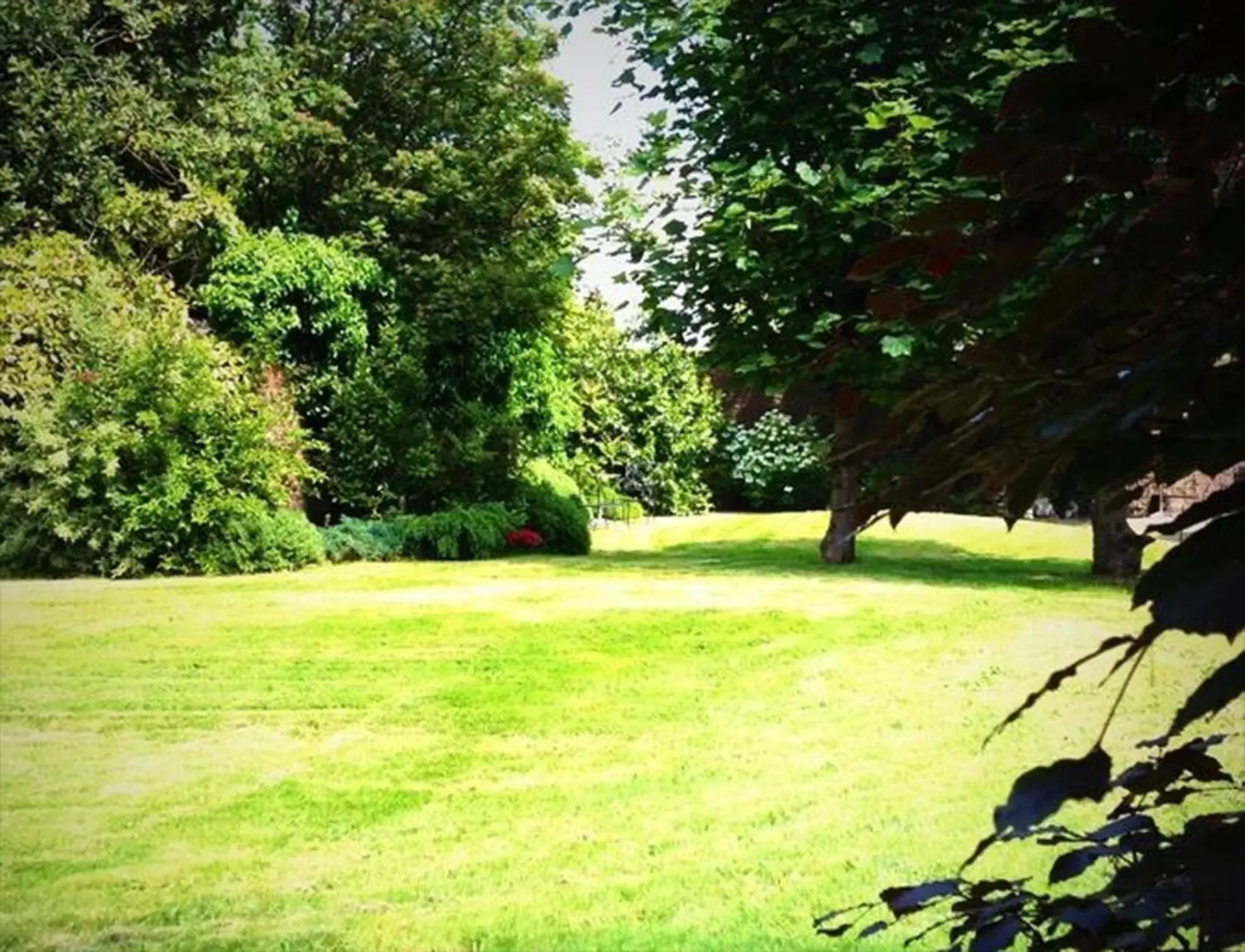 Garden in Ashtree House Hotel, Glasgow Airport & Paisley