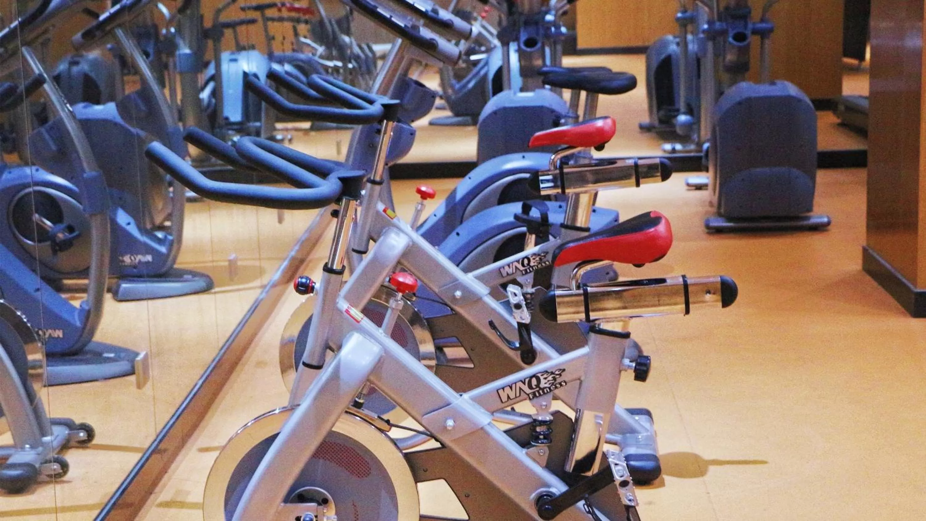 Fitness centre/facilities in Holiday Inn Nanjing Xuanwu Lake by IHG