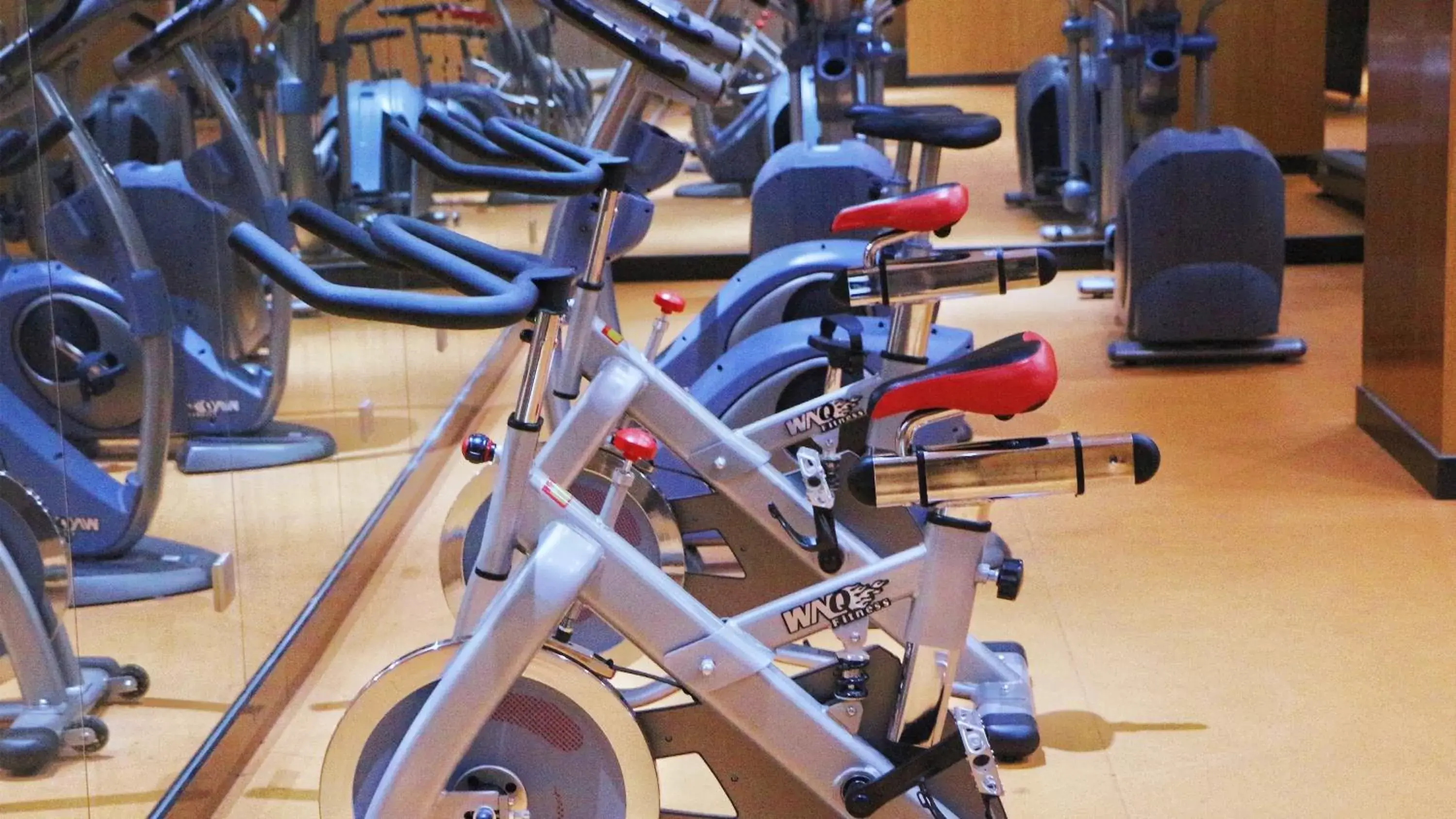 Fitness centre/facilities, Fitness Center/Facilities in Holiday Inn Nanjing Xuanwu Lake, an IHG Hotel