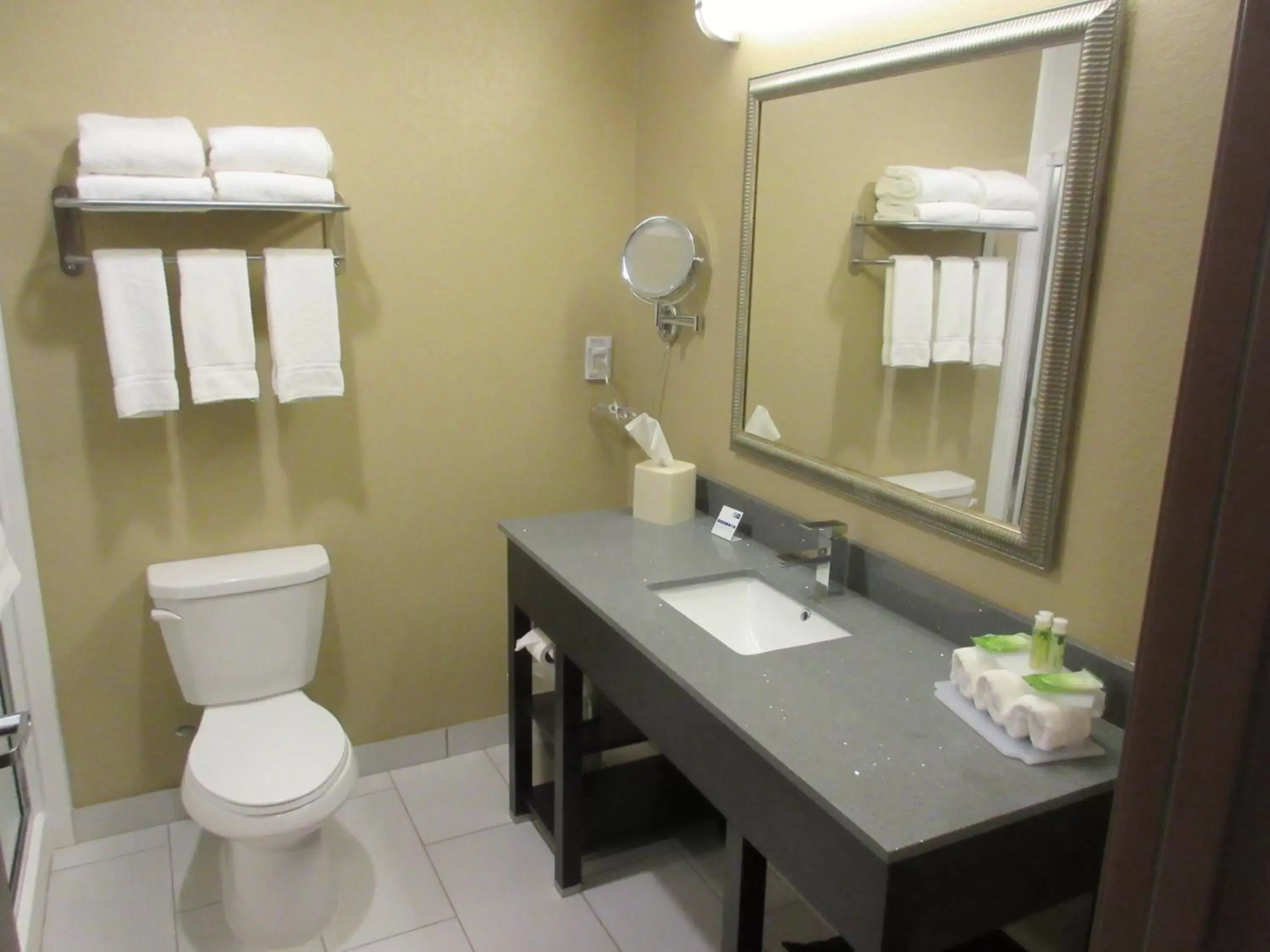 Bathroom in Holiday Inn Express & Suites Butler, an IHG Hotel