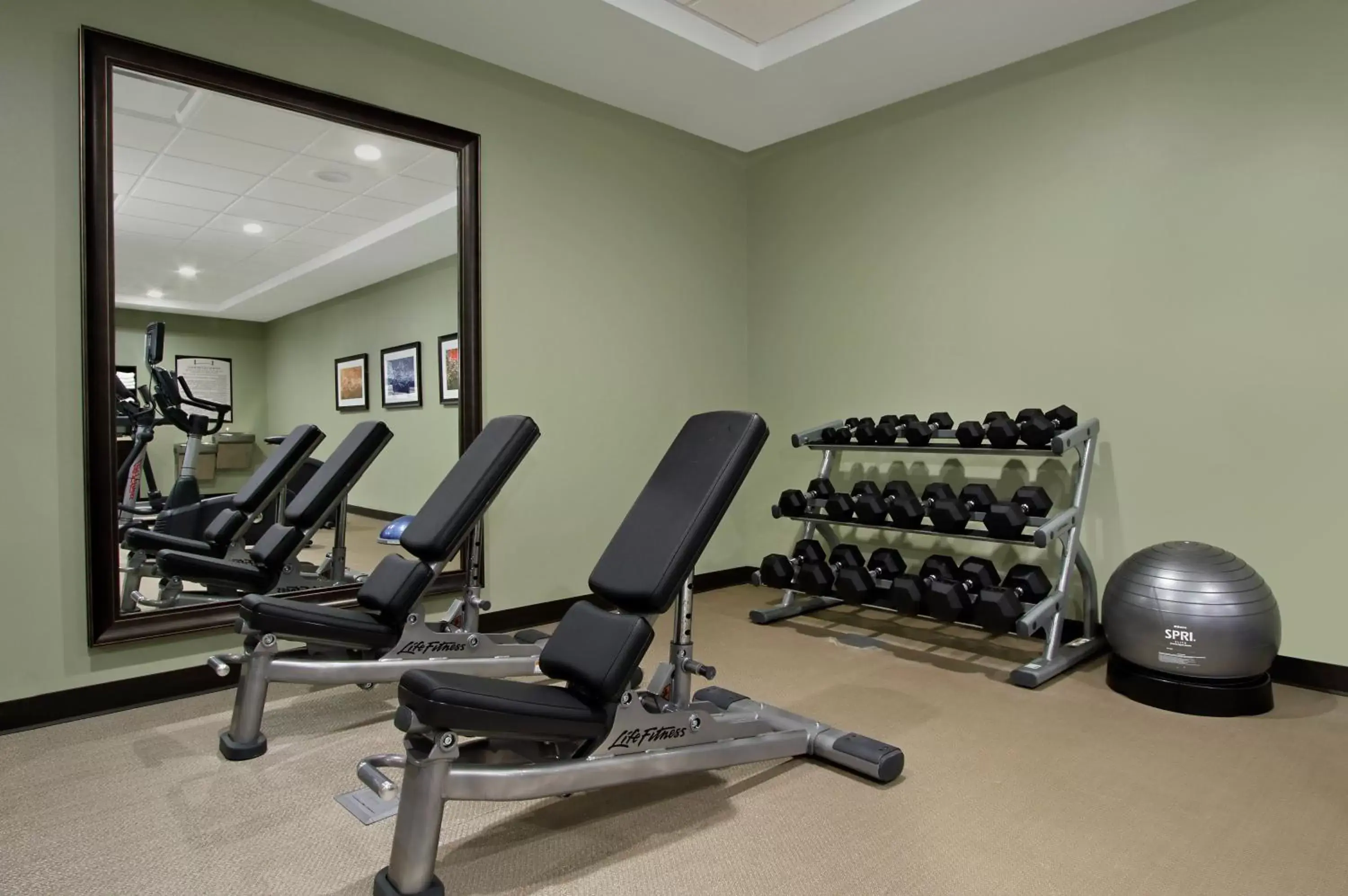 Fitness centre/facilities, Fitness Center/Facilities in Staybridge Suites - Houston - Medical Center, an IHG Hotel