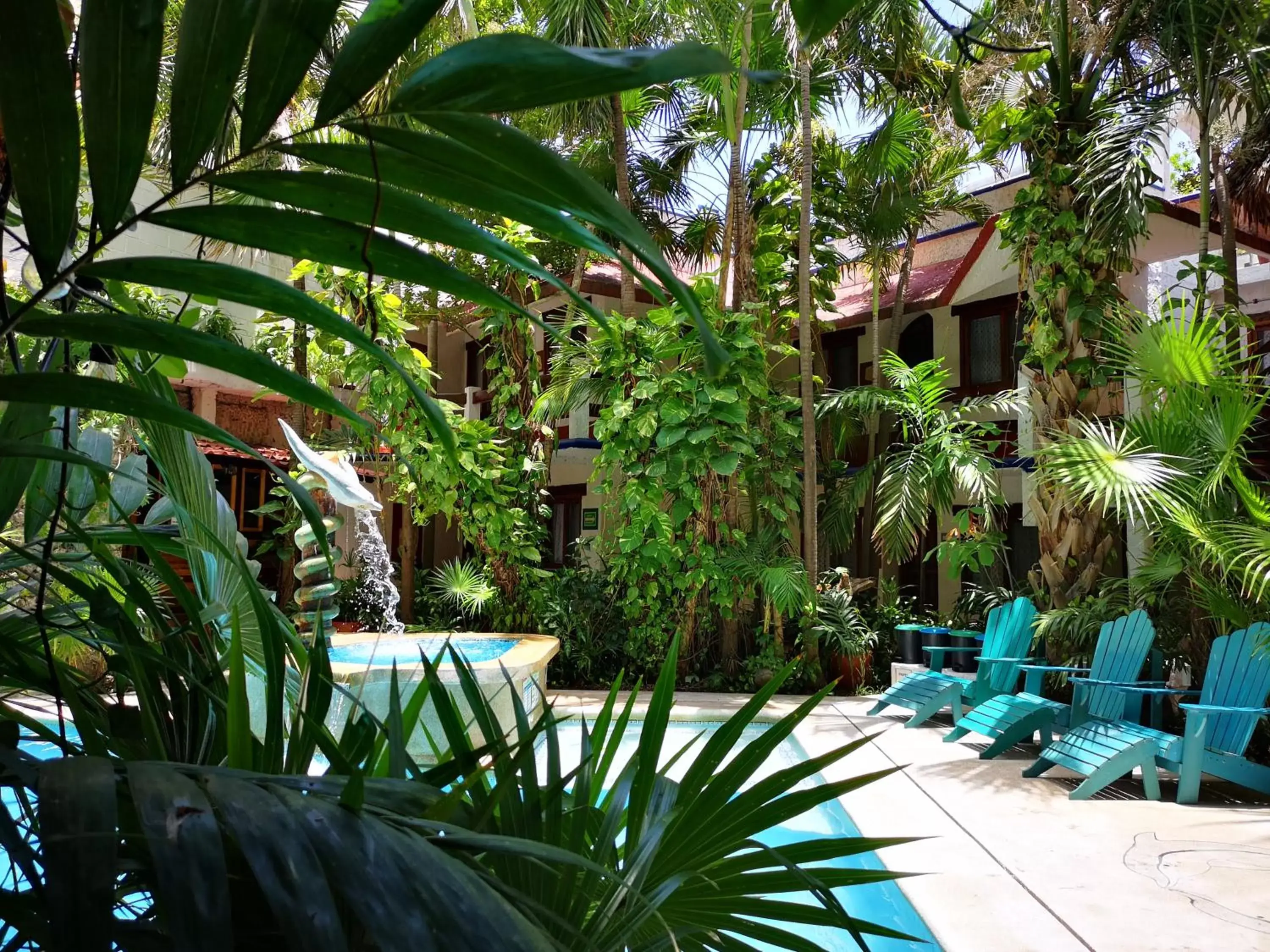Garden, Swimming Pool in Eco-hotel El Rey del Caribe