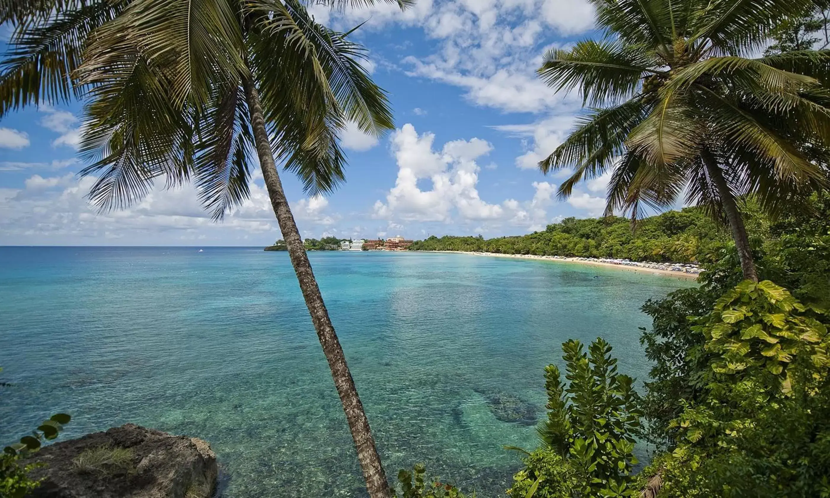 Natural landscape in Hotel Casa Valeria