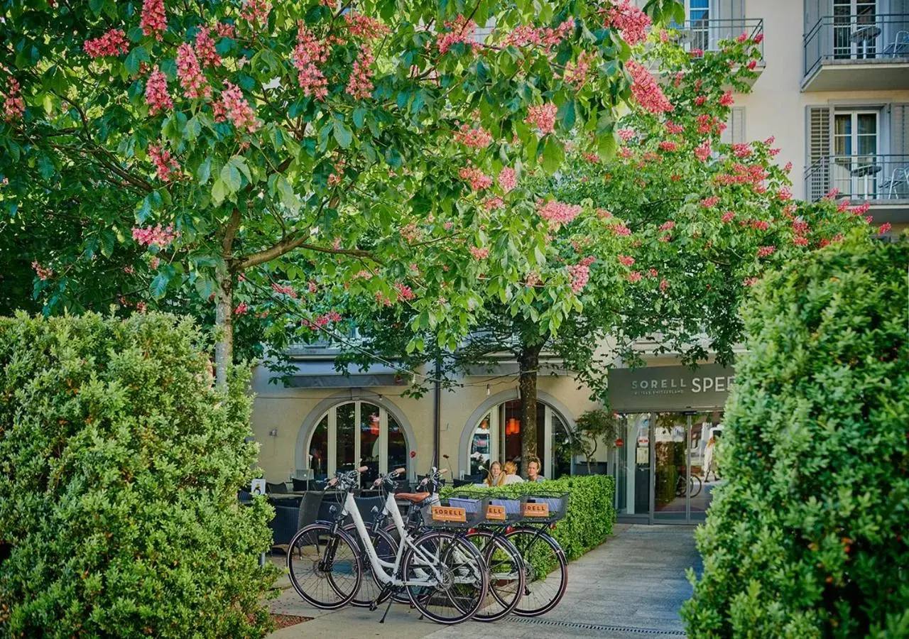 Garden in Sorell Hotel Speer