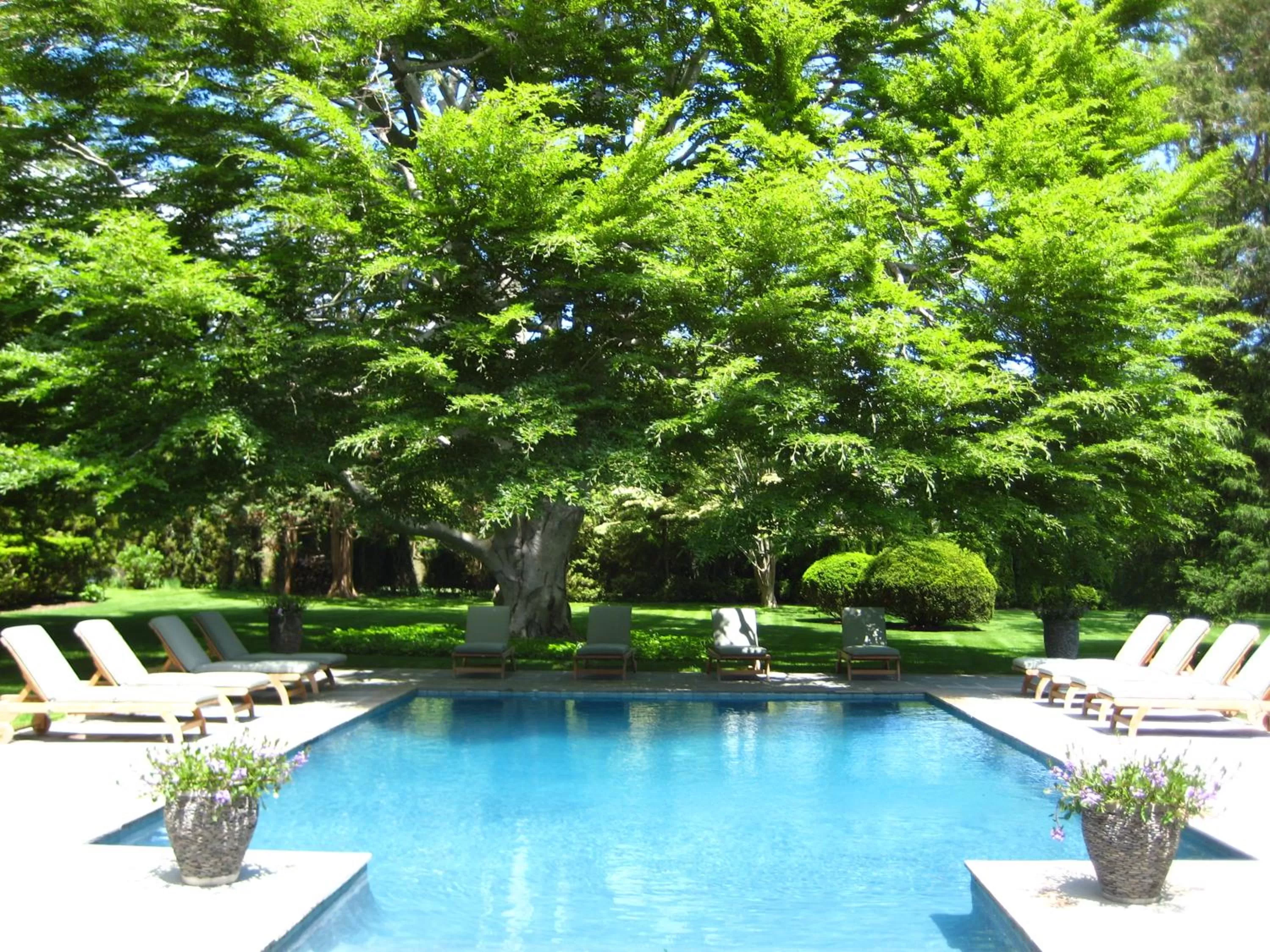 Property building, Swimming Pool in The Baker House 1650
