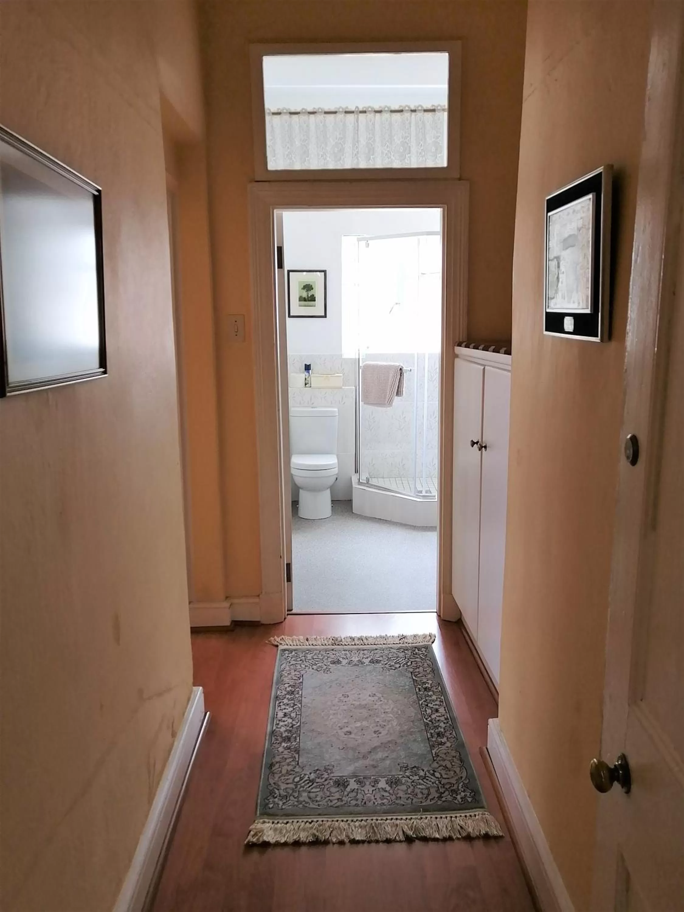 Other in Squirrels Corner