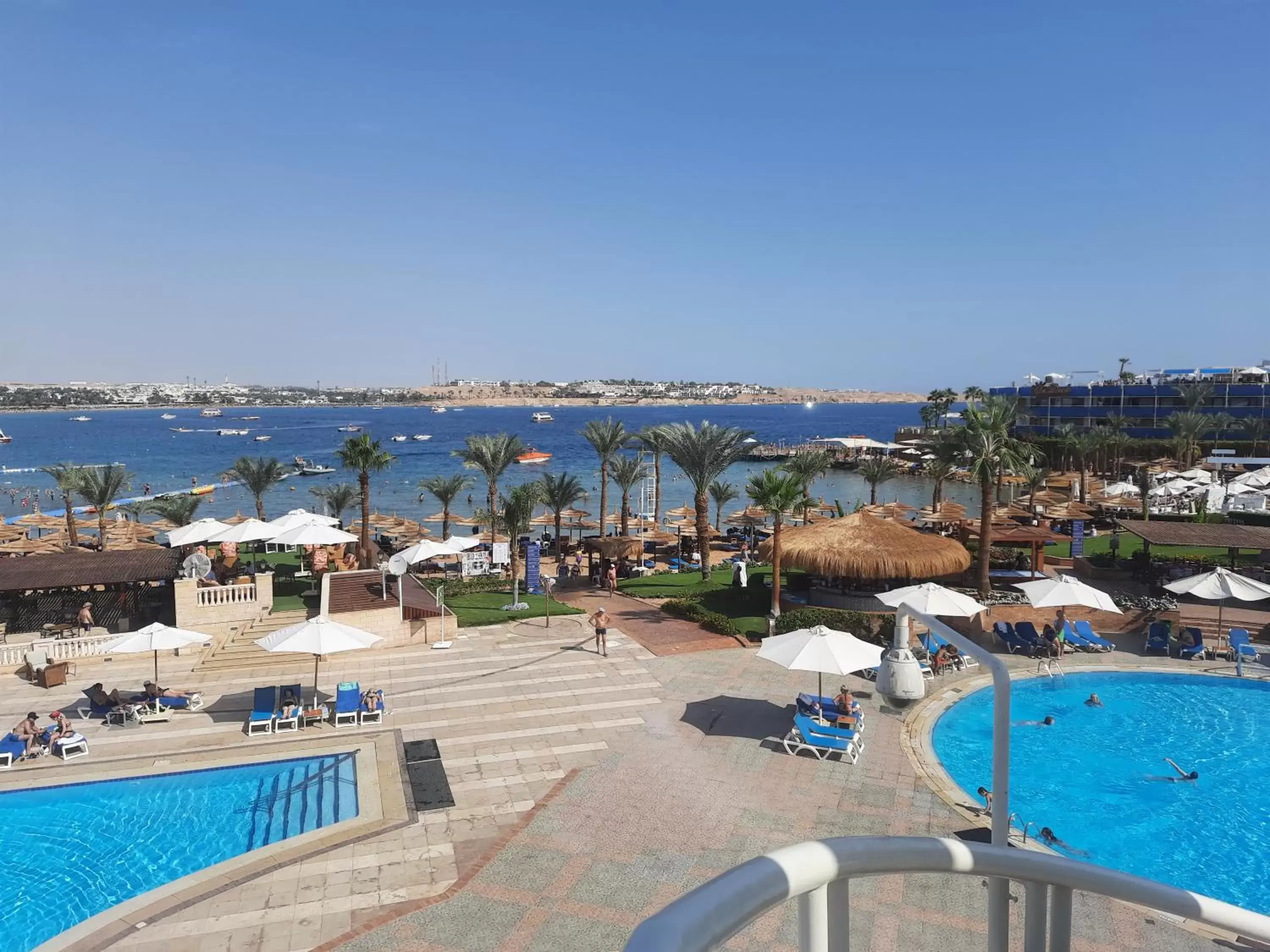 Swimming pool, Pool View in Marina Sharm Hotel