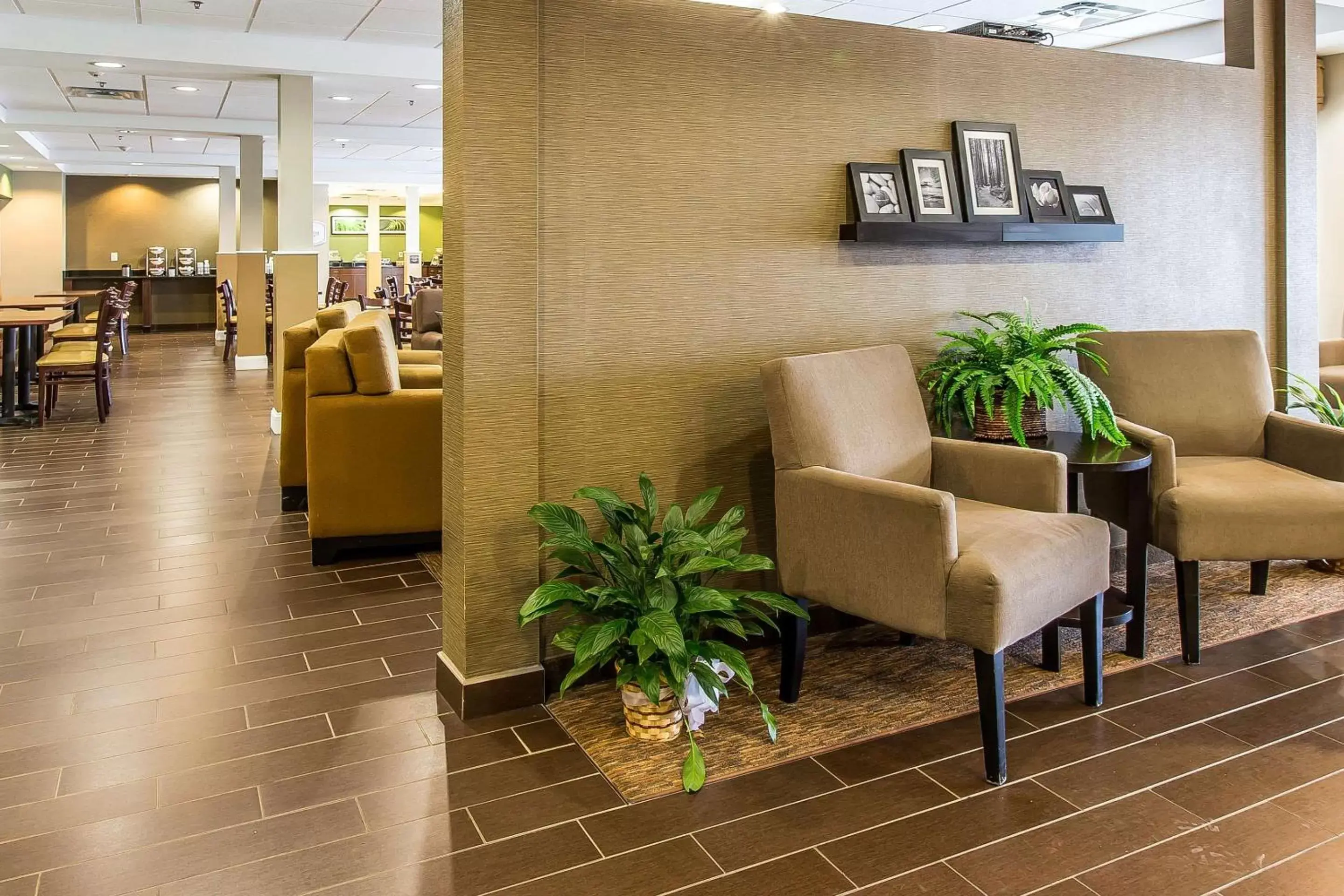 Lobby or reception in Sleep Inn & Suites Mount Olive North Lobby or reception in Sleep Inn & Suites Mount Olive North