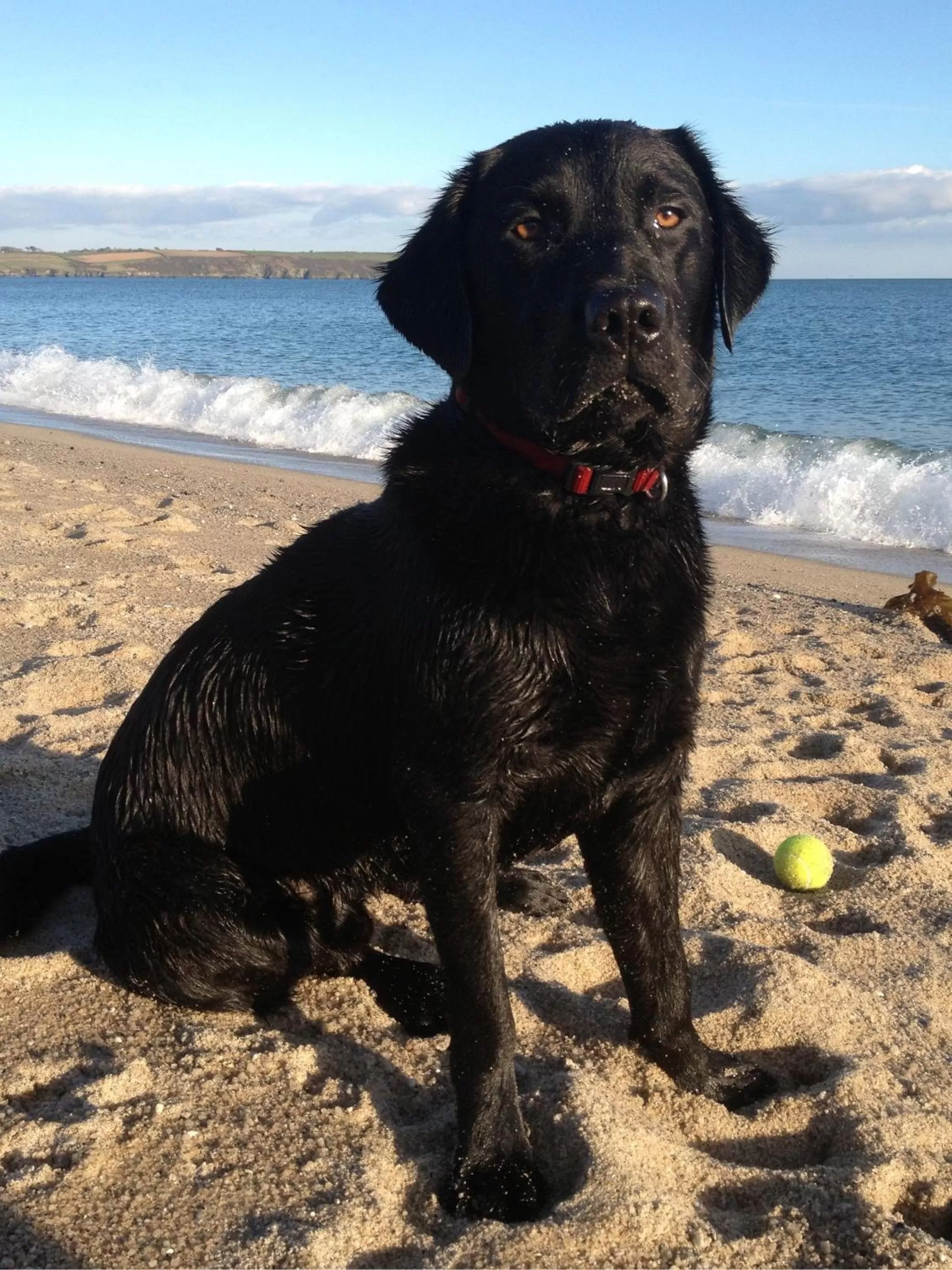 People in The Waterwheel