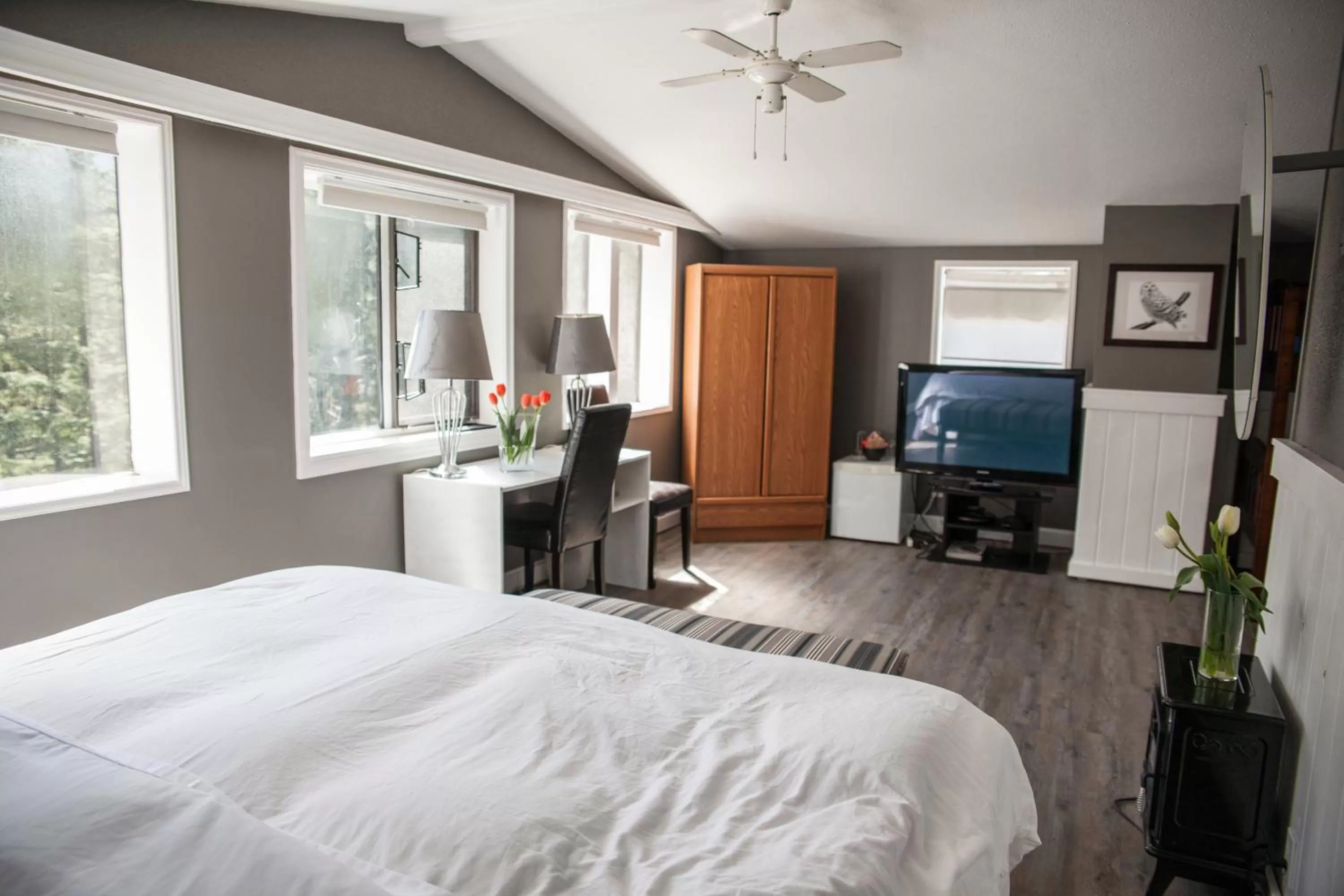 Bedroom, TV/Entertainment Center in Tall Trees Bed & Breakfast