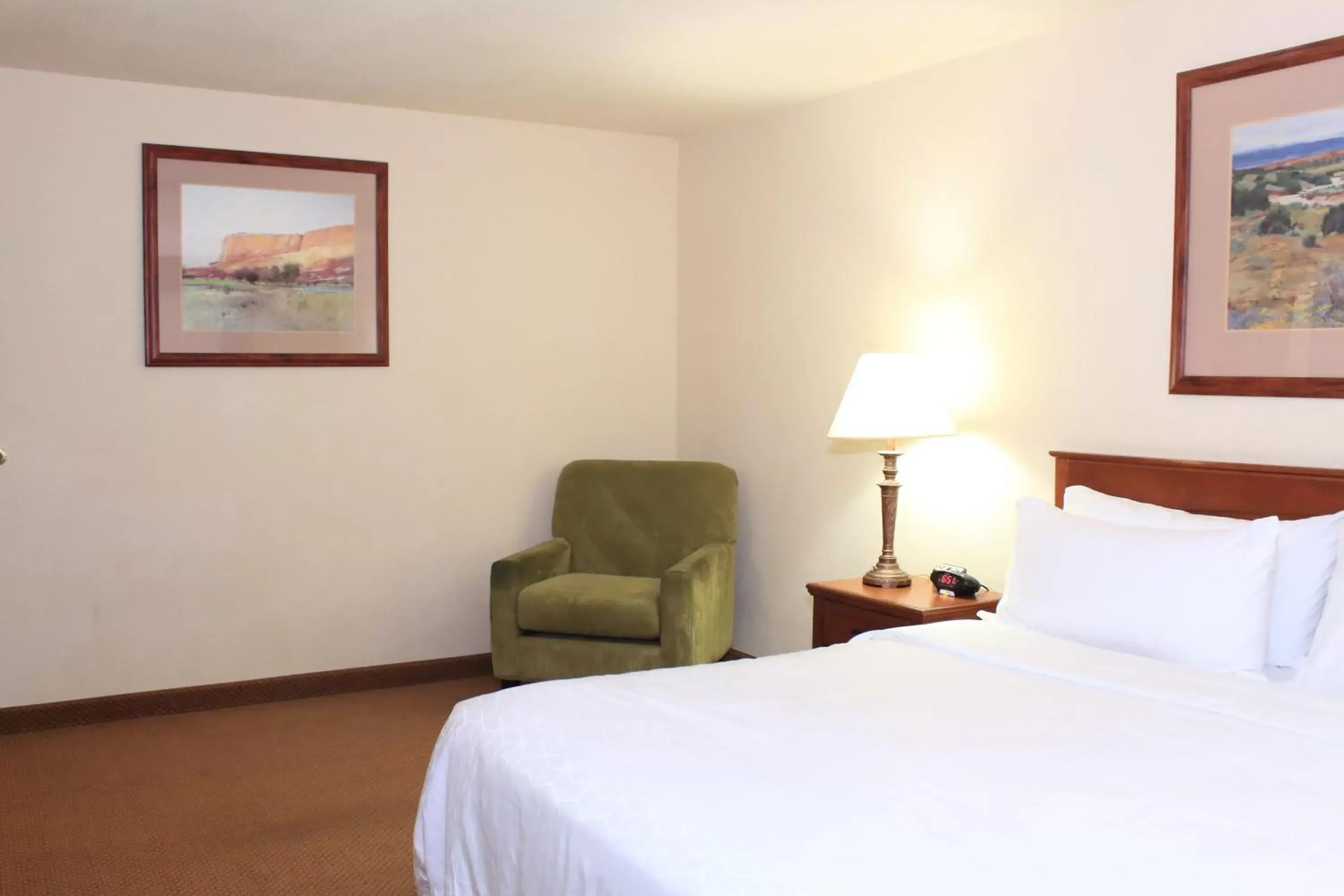 Photo of the whole room, Bed in Holiday Inn Express Hotel & Suites Farmington, an IHG Hotel