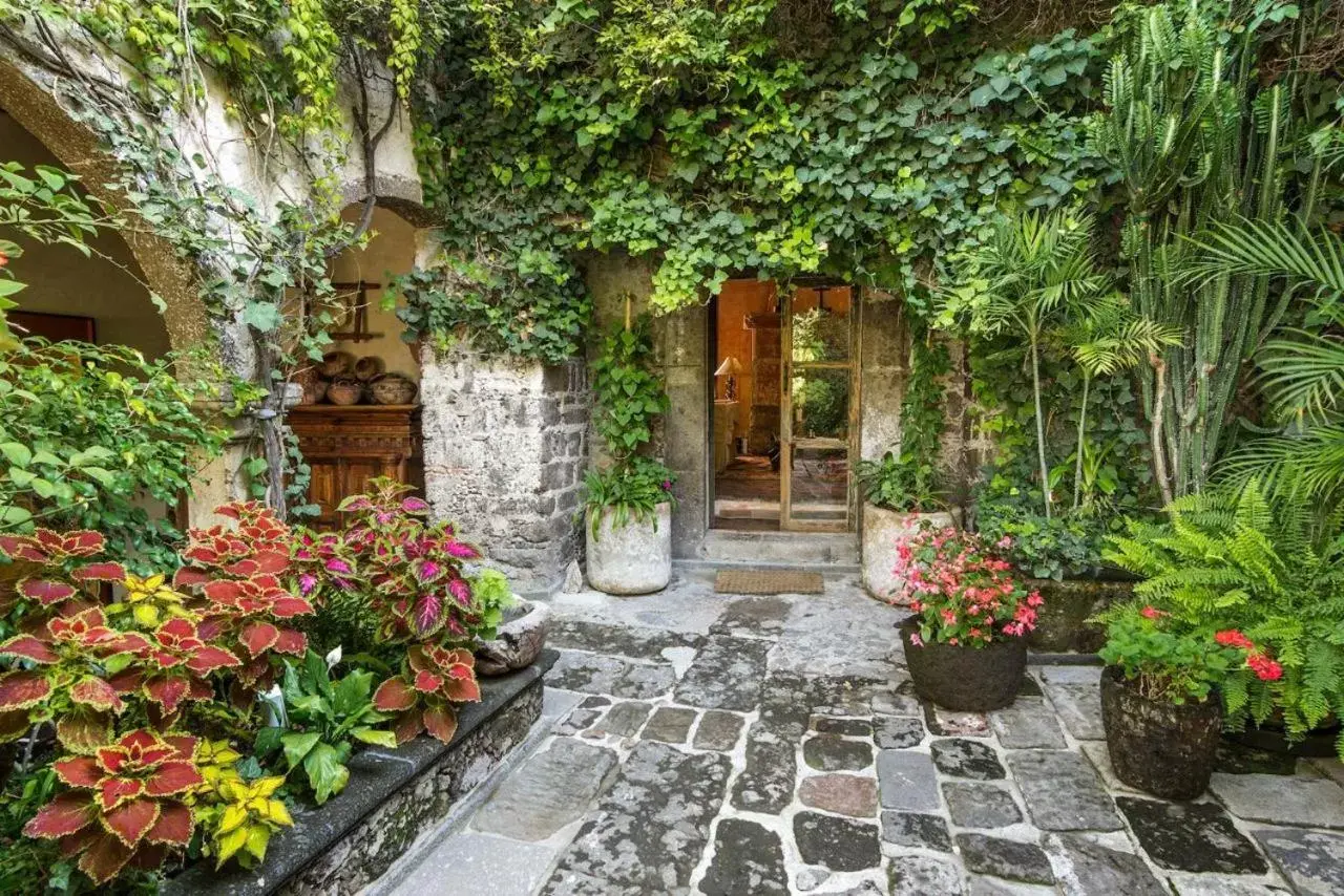 Patio in Hacienda Las Amantes