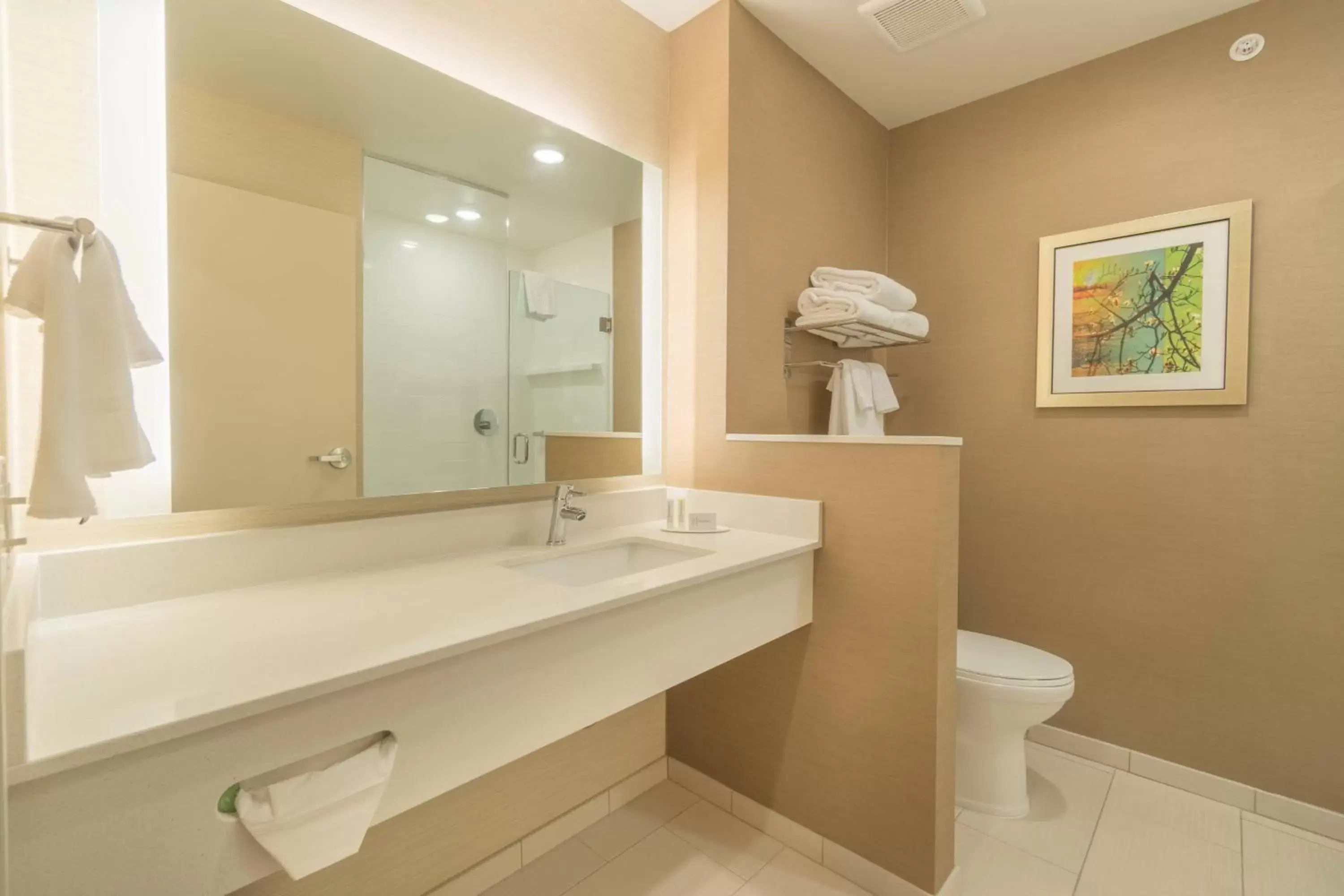 Bathroom in Fairfield Inn & Suites by Marriott Gaylord
