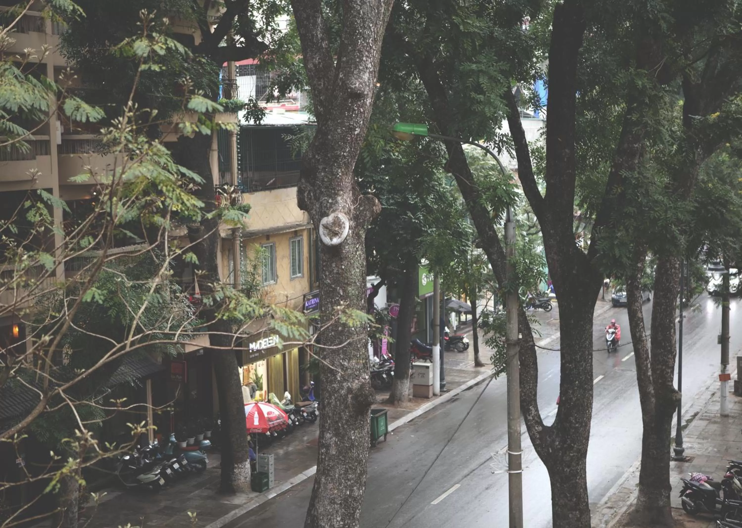Garden in The First Ba Trieu