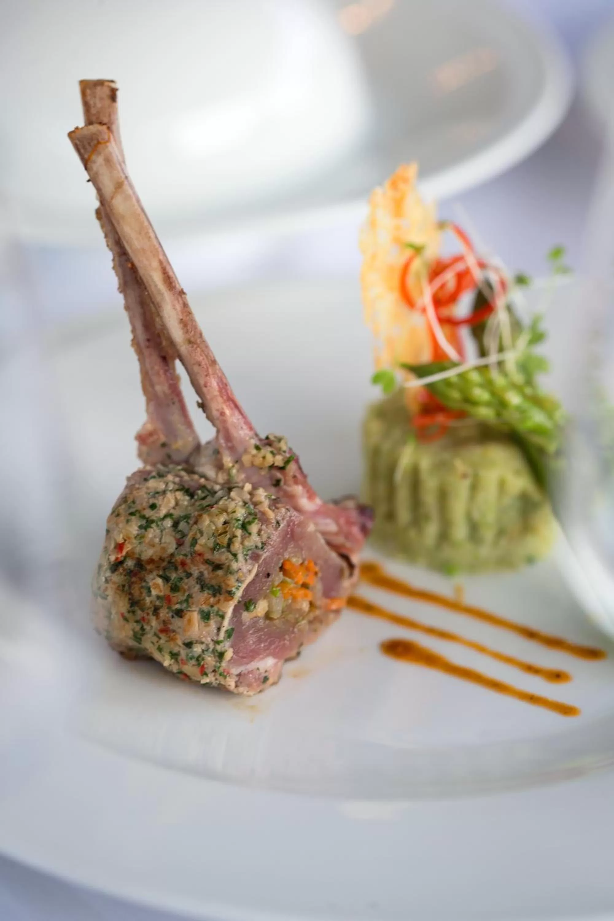 Food close-up in Dwaraka The Royal Villas