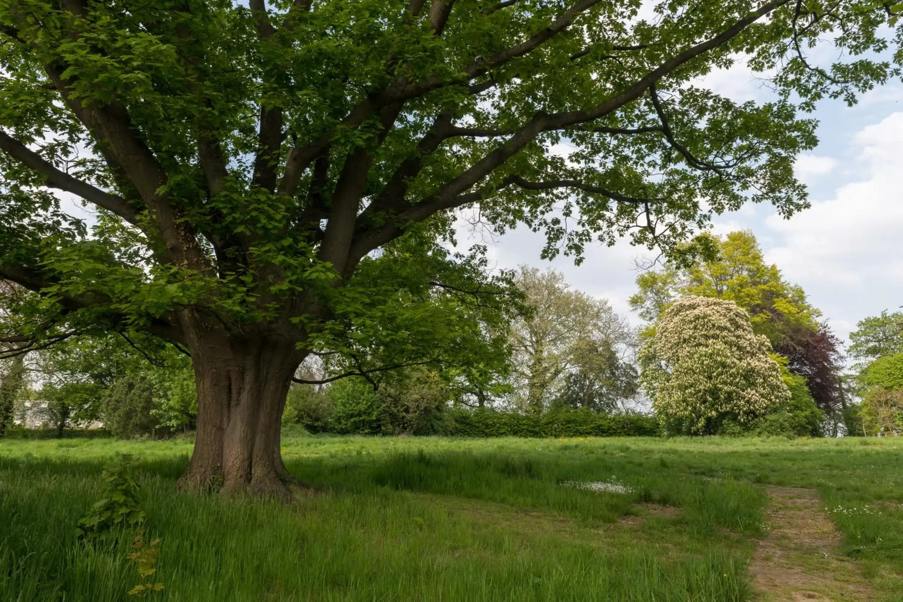 Natural landscape, Garden in Martin's Rentmeesterij