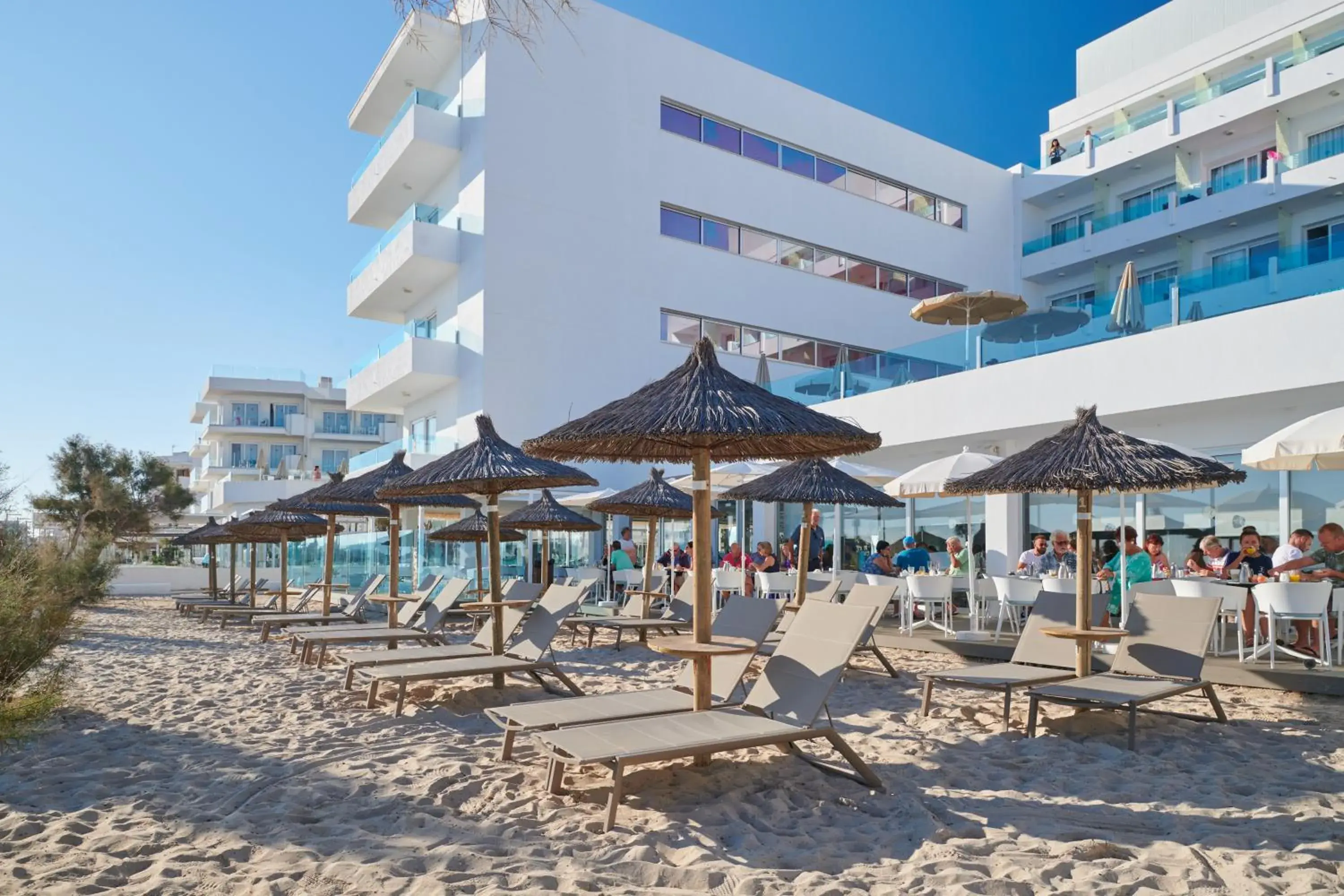 Beach in The Sea Hotel by Grupotel - Adults Only