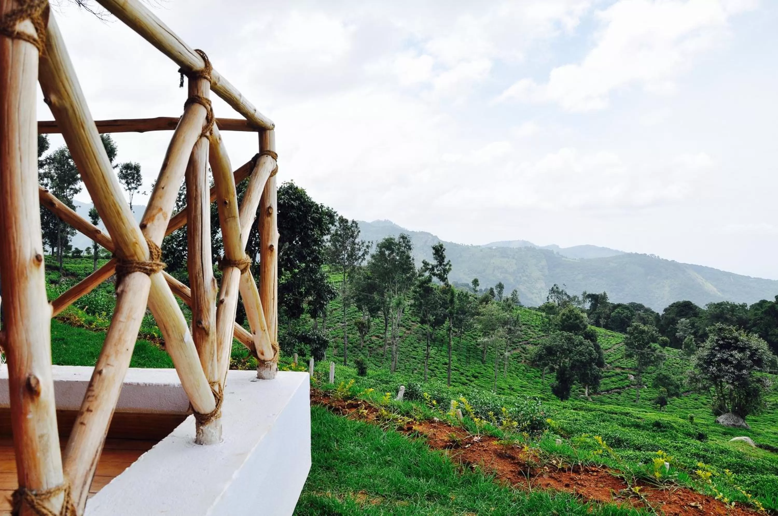 Natural landscape in Hanging Huts Resorts